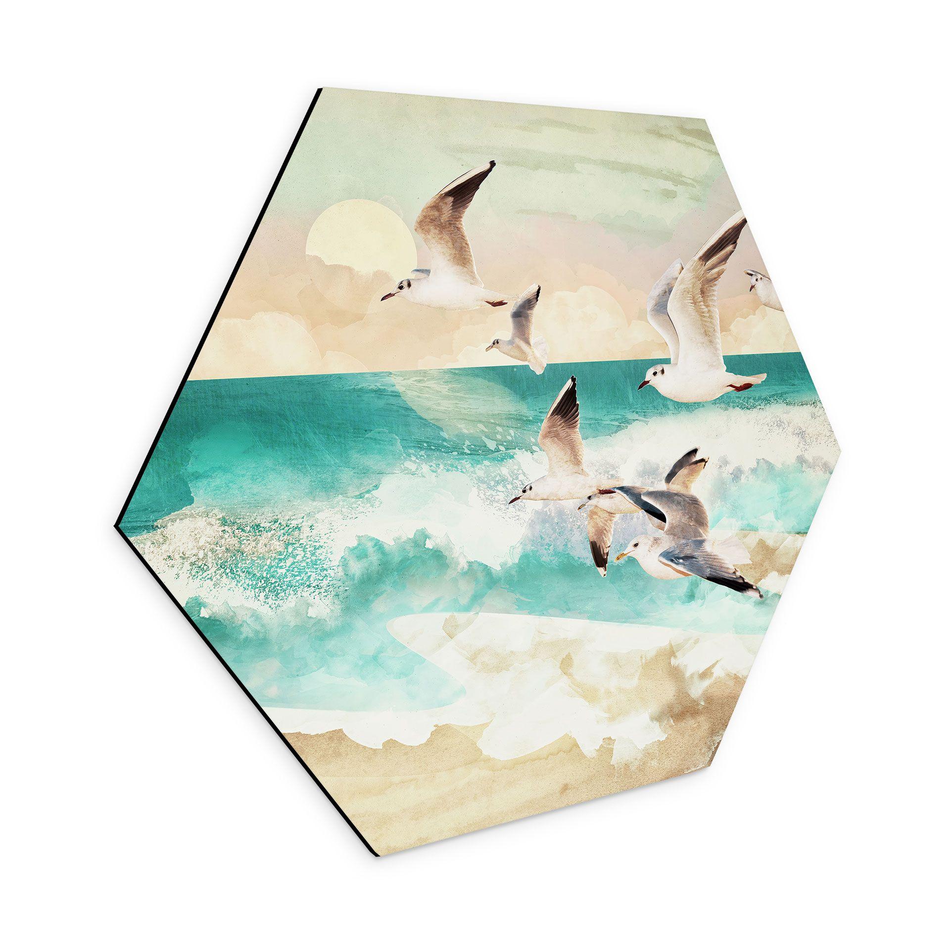 Hexagon Dibond Måger på stranden - SpaceFrog Designs