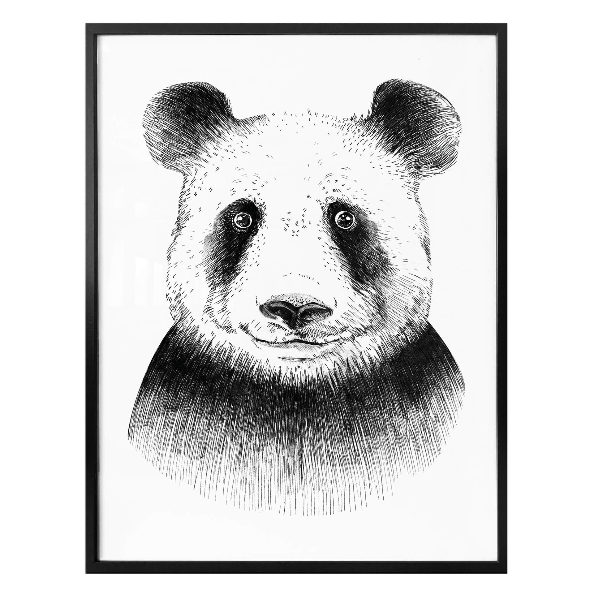 Póster Kvilis - Oso panda
