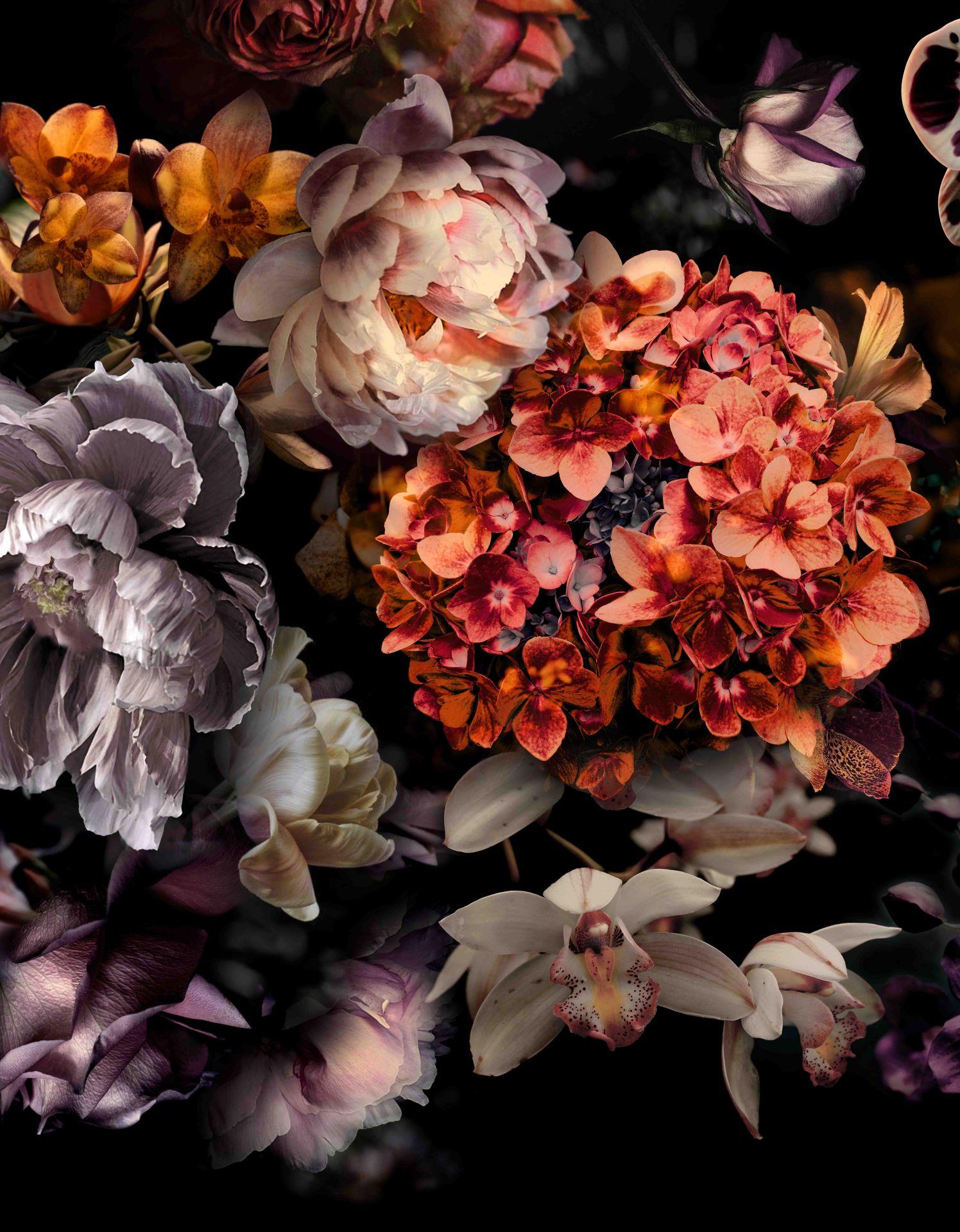 Fototapet med motivet Dark Floral med orkideer, hortensiaer 3,4 x 2,65 m