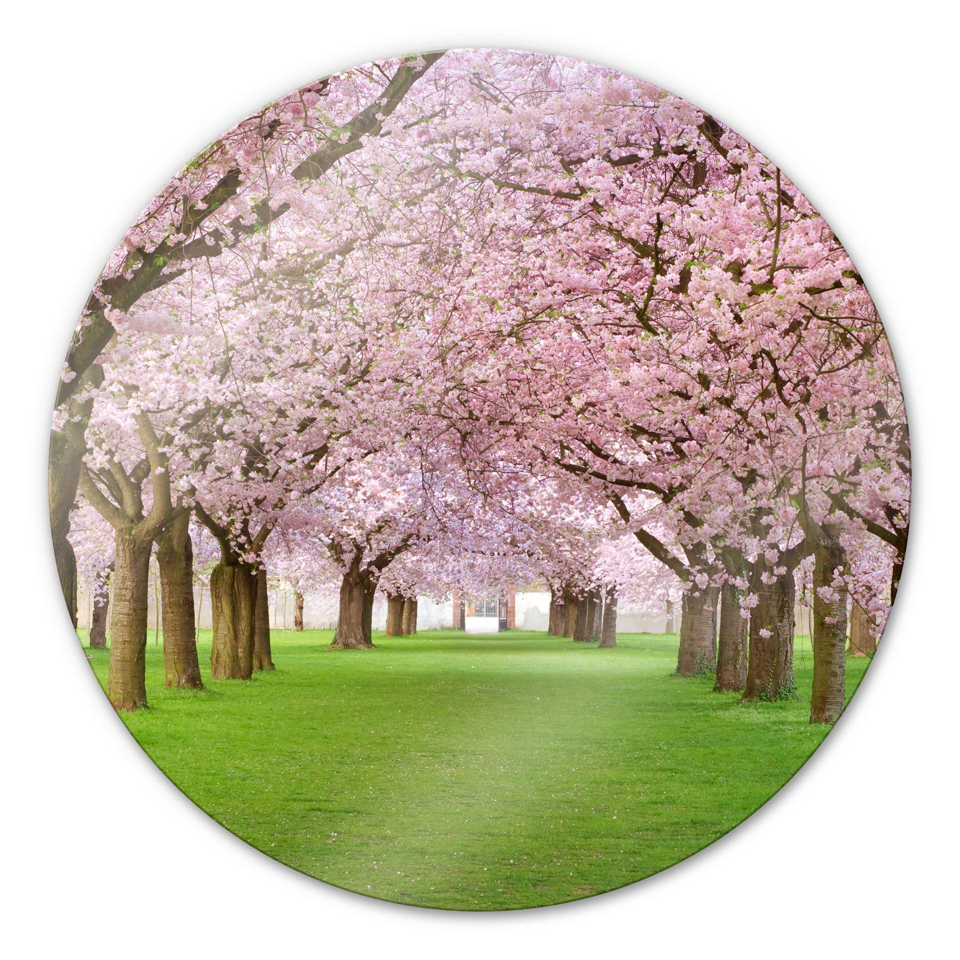 Tableau en verre - Printemps - rond