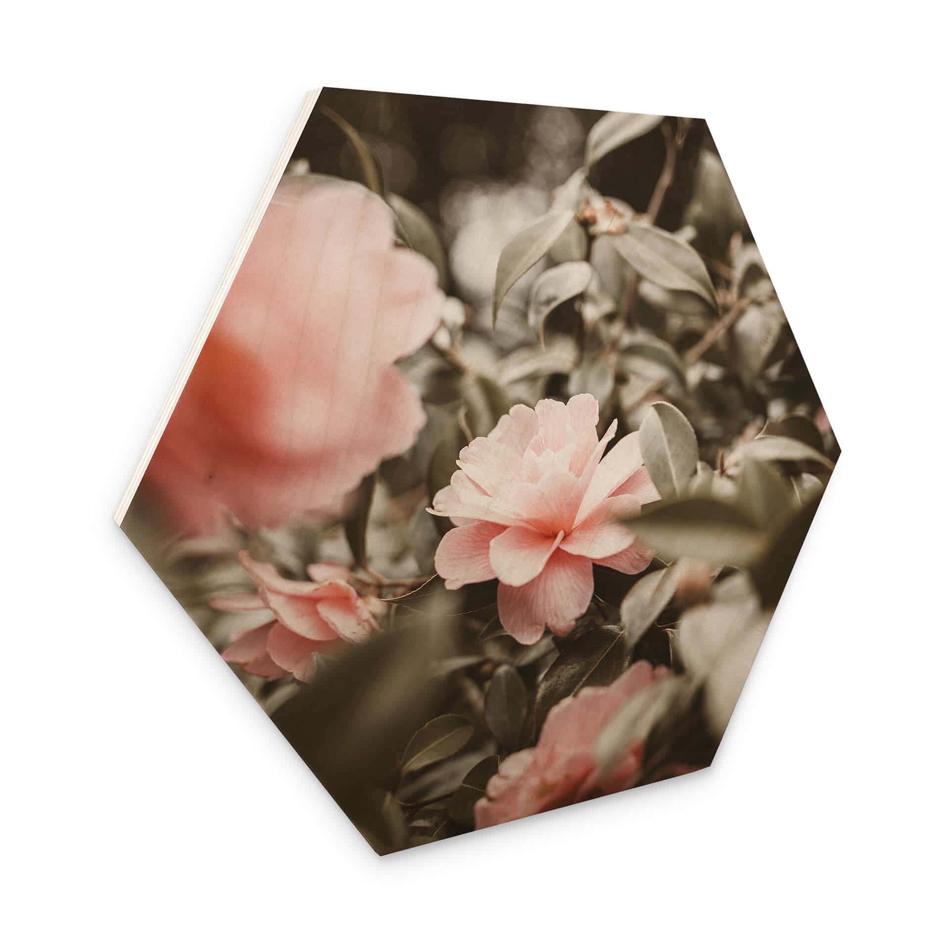 Hexagone - Bois Annie - Roses
