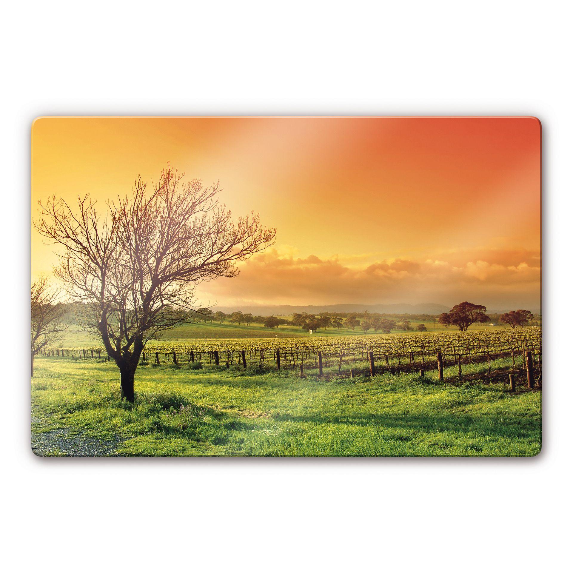 Tableau en verre - Vignobles