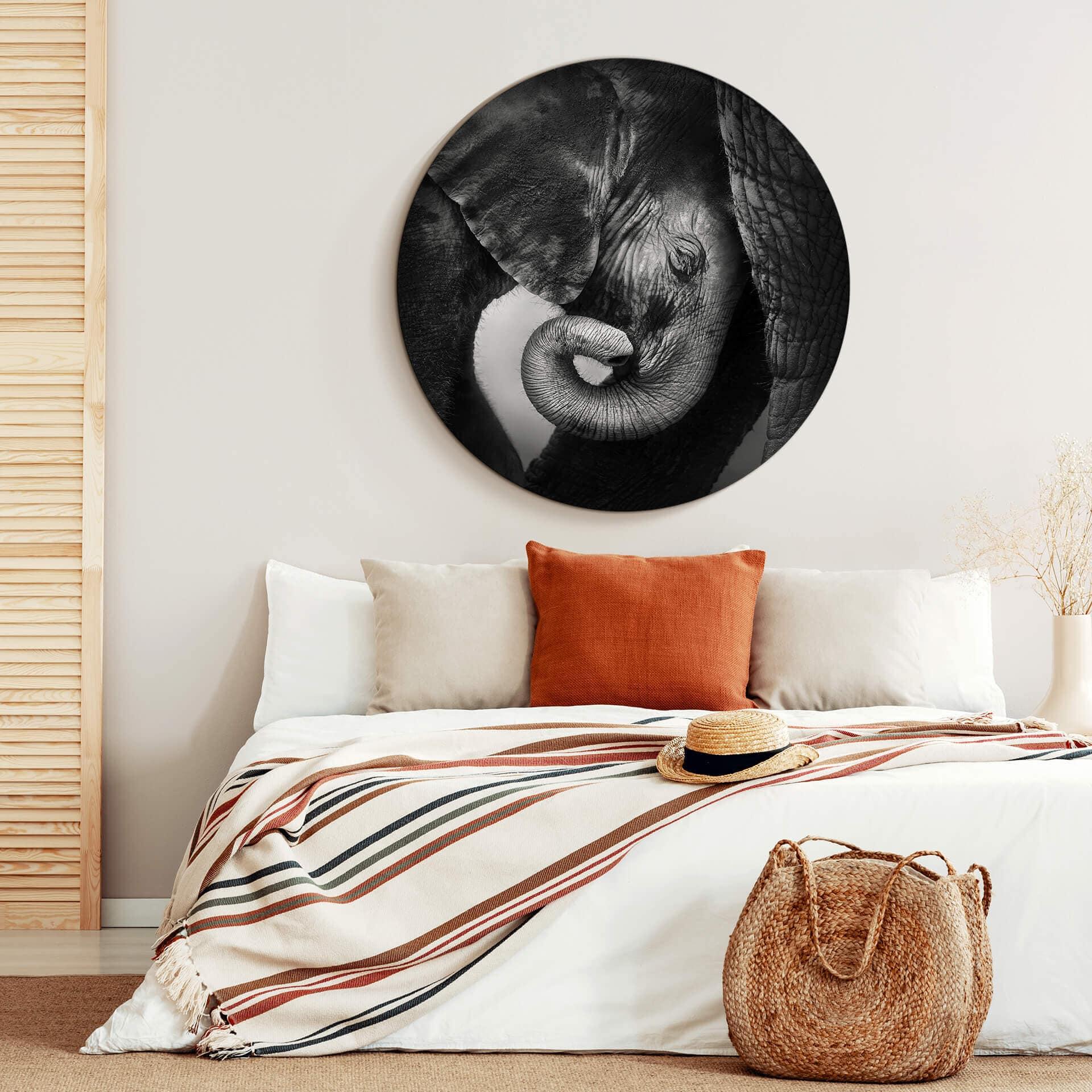 Tableau en Alu-Dibond - Bébé éléphanteau - Rond