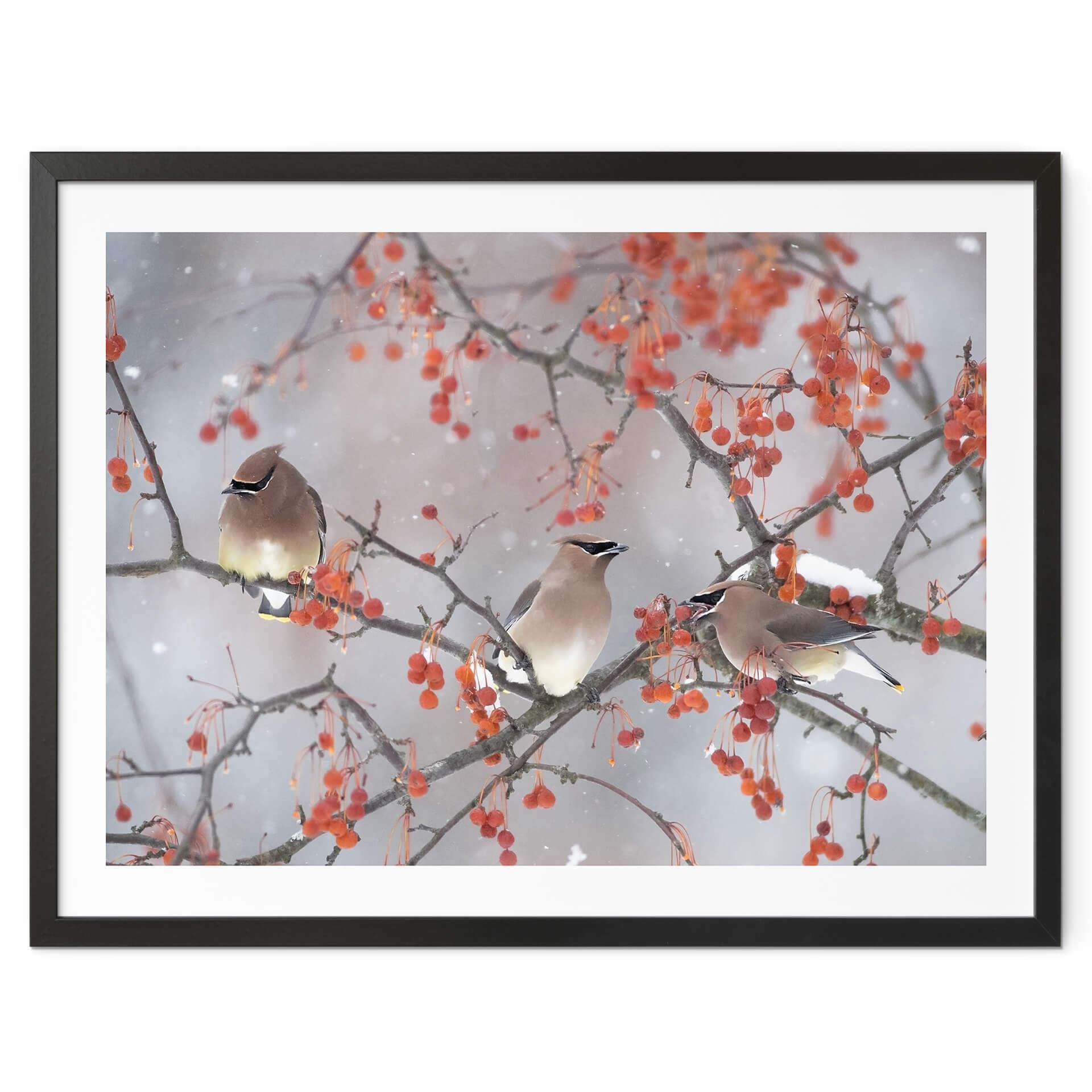 Póster Li - Tres pájaros en un paisaje invernal