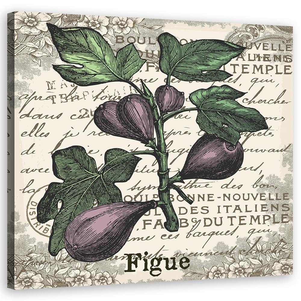 Canvasbillede, vintage figen