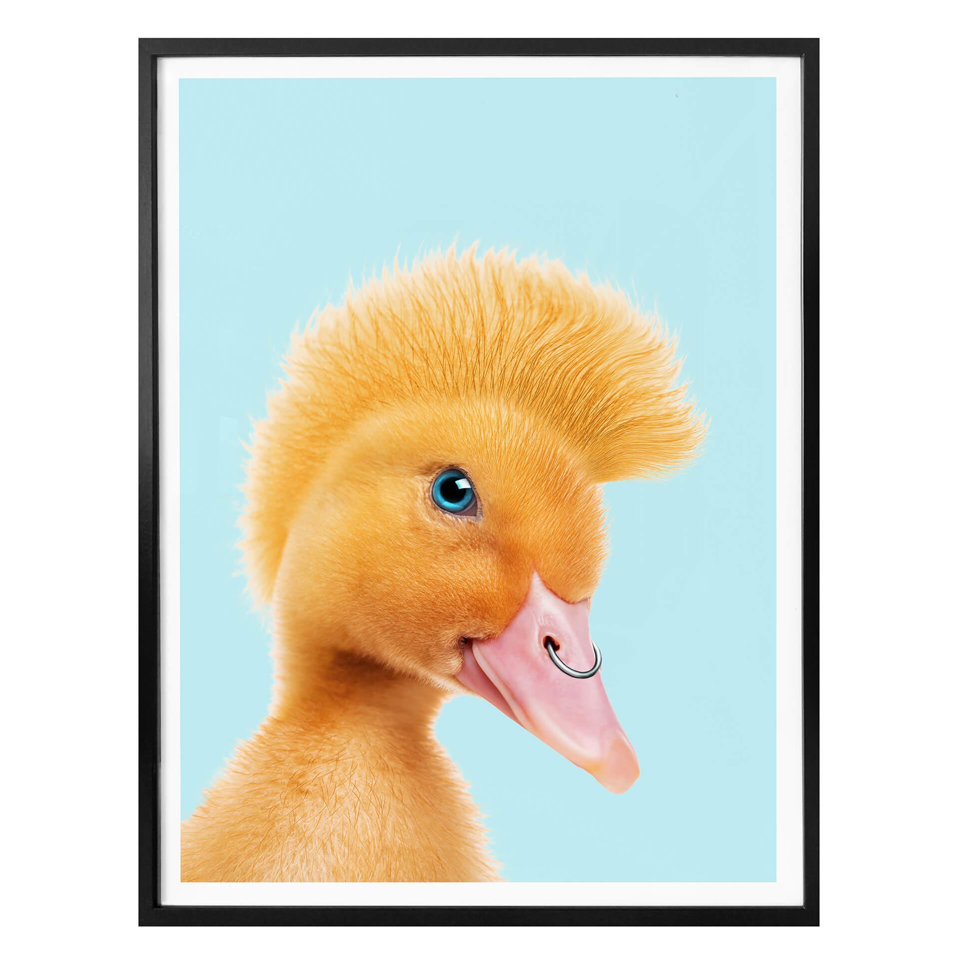 Póster Suelto - Patito rebelde