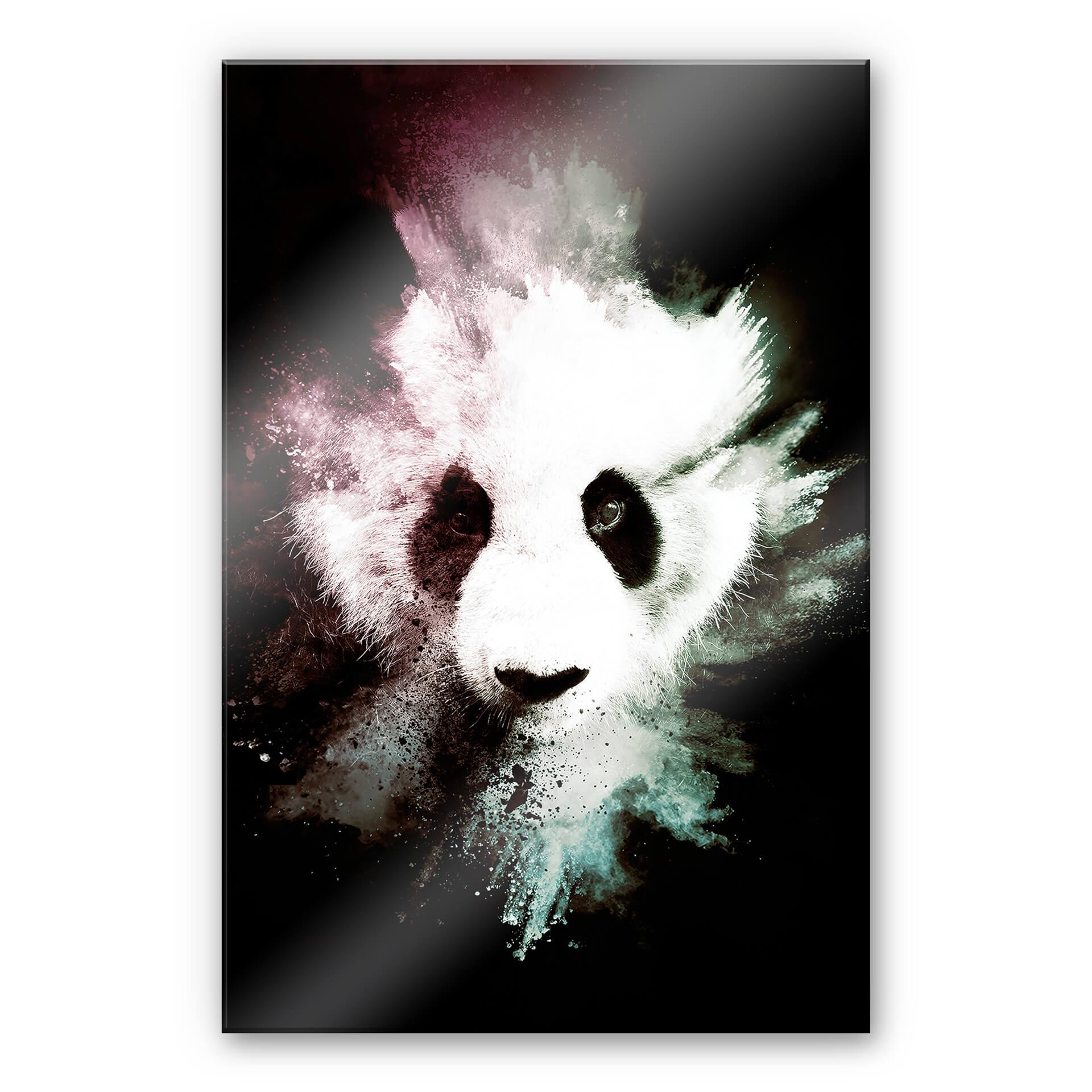 Akrylbillede Hugonnard - Wild Explosion: Panda