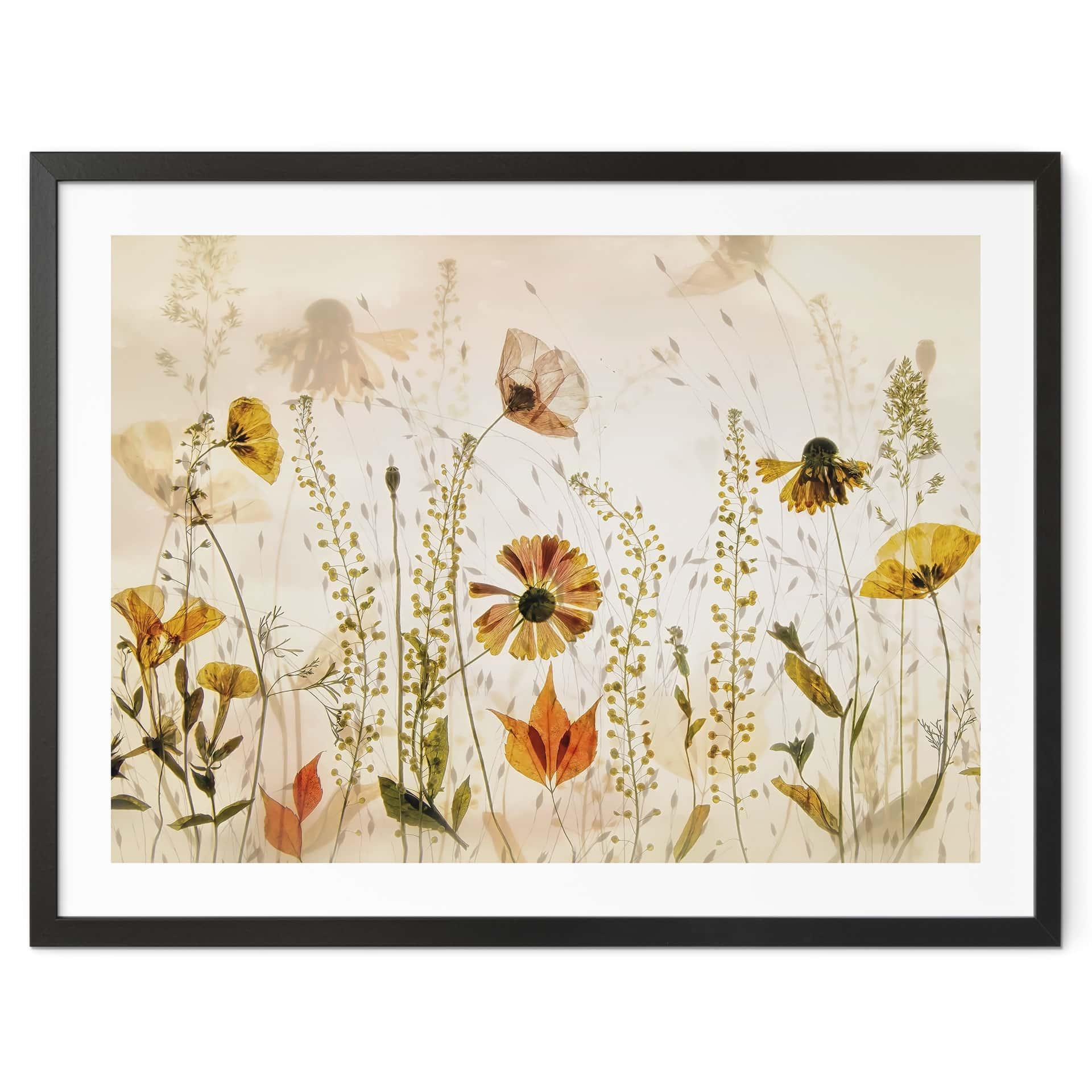 Póster Flores silvestres del prado a la luz del sol - Talen