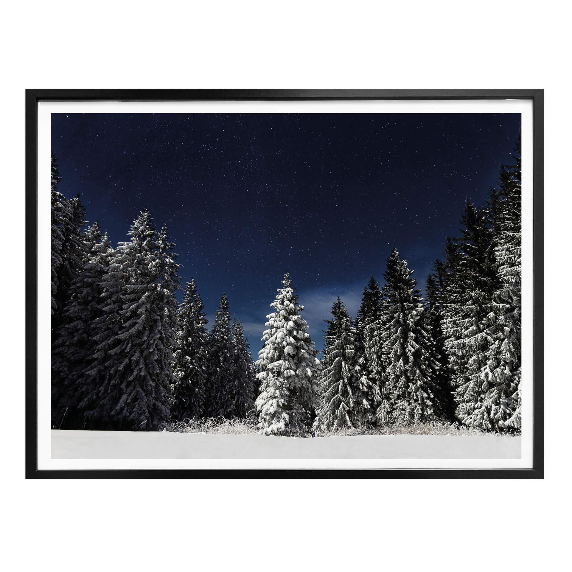 Plakat - Vinterskov