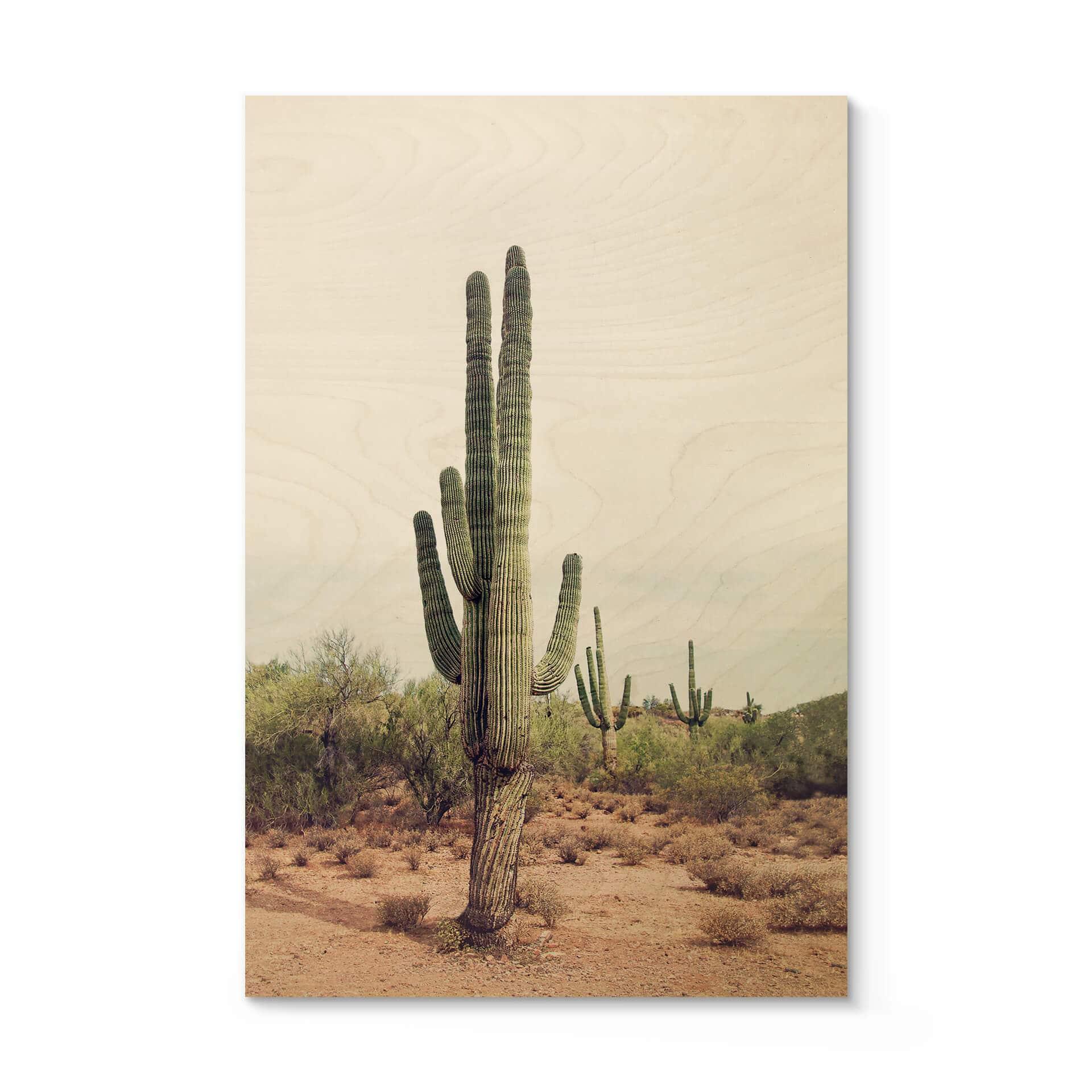 Cuadro de madera Sisi & Seb - Cactus del desierto