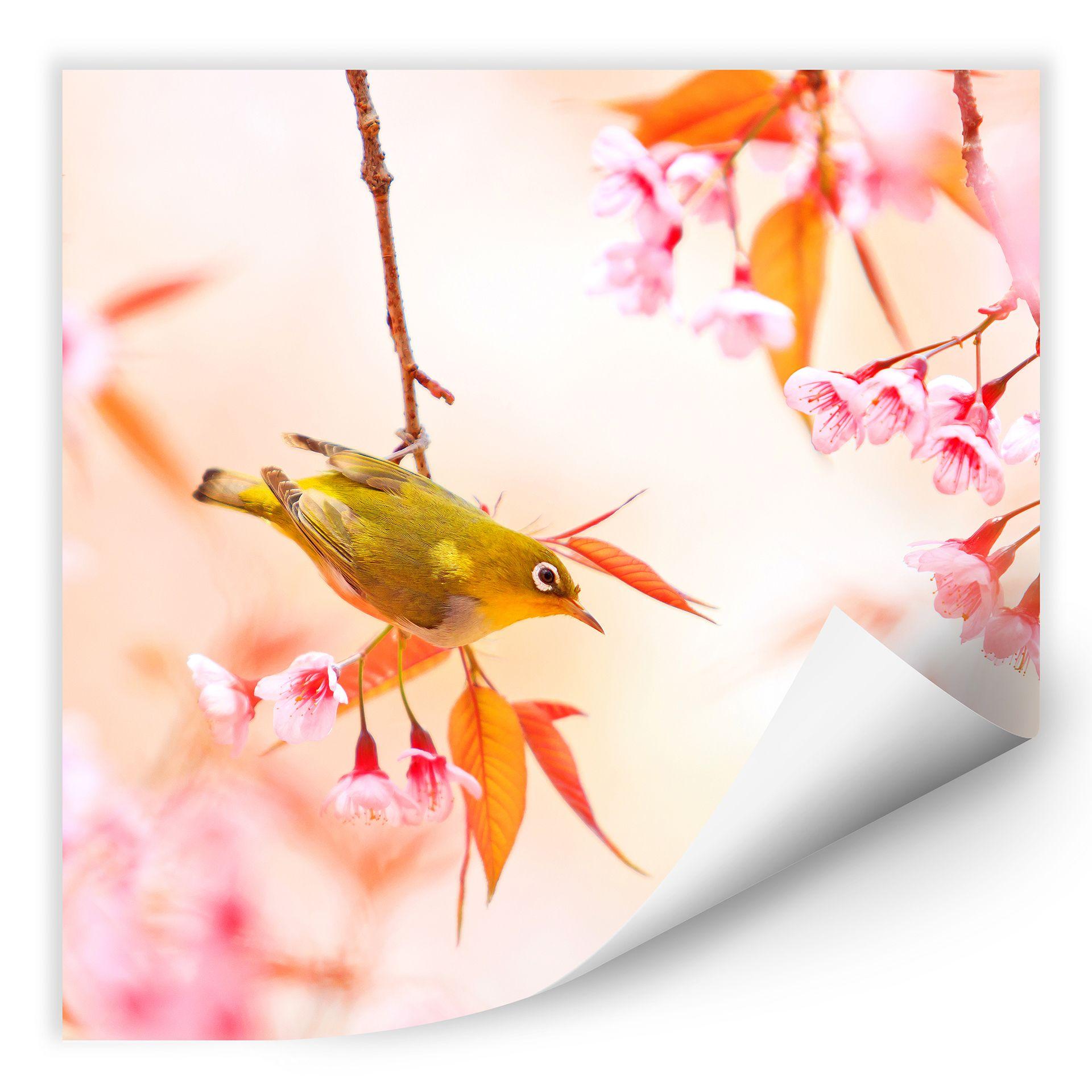 Zelfklevende Poster - Vogeltjes in de lente