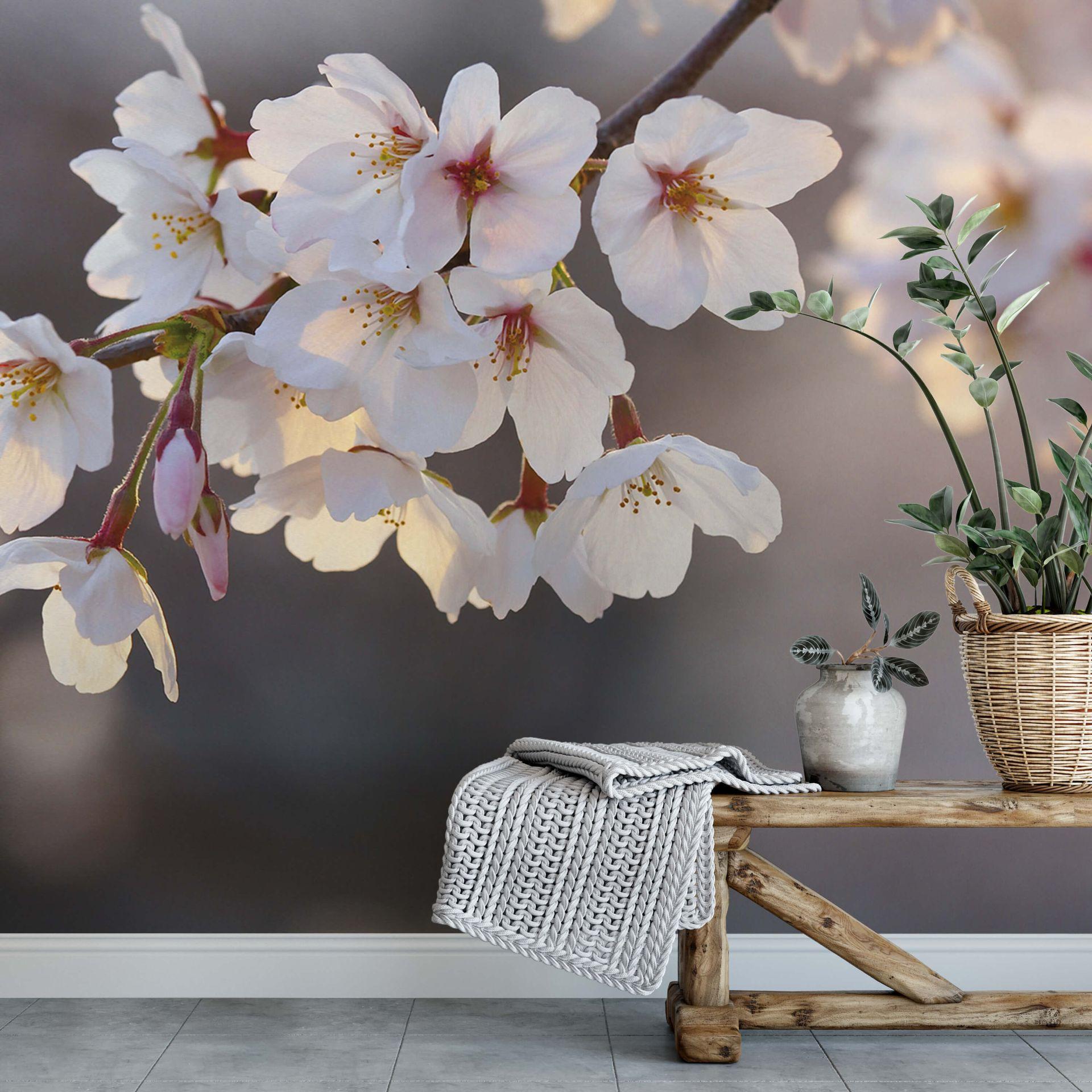 Fototapet - Kirsebærblomstergren