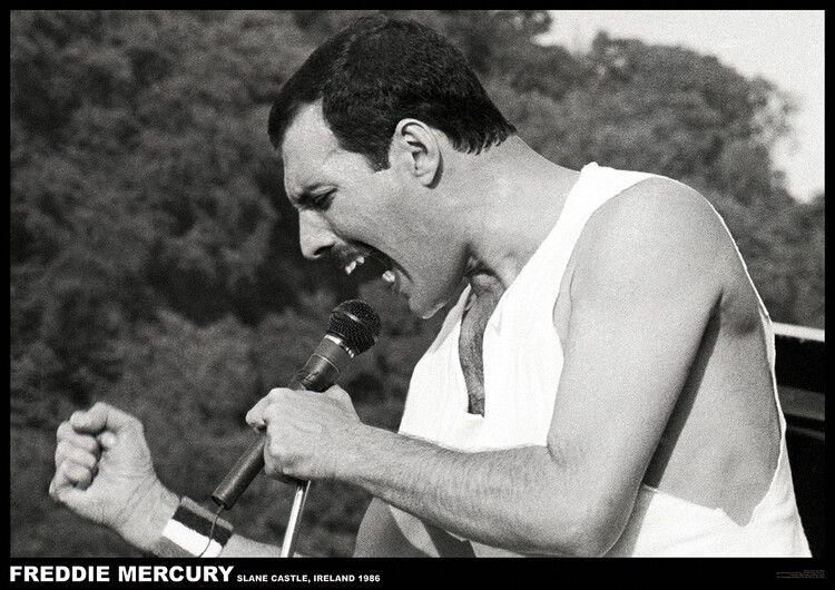 Plakat Freddie Mercury - Slane castle, Irland 1996, plakat (84,1 x 59,4 cm)