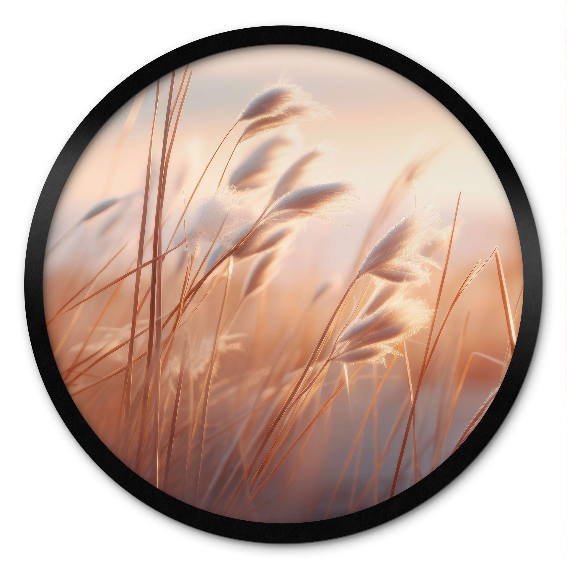 Póster Hierba de las dunas al sol del atardecer - Treechild - Redondo