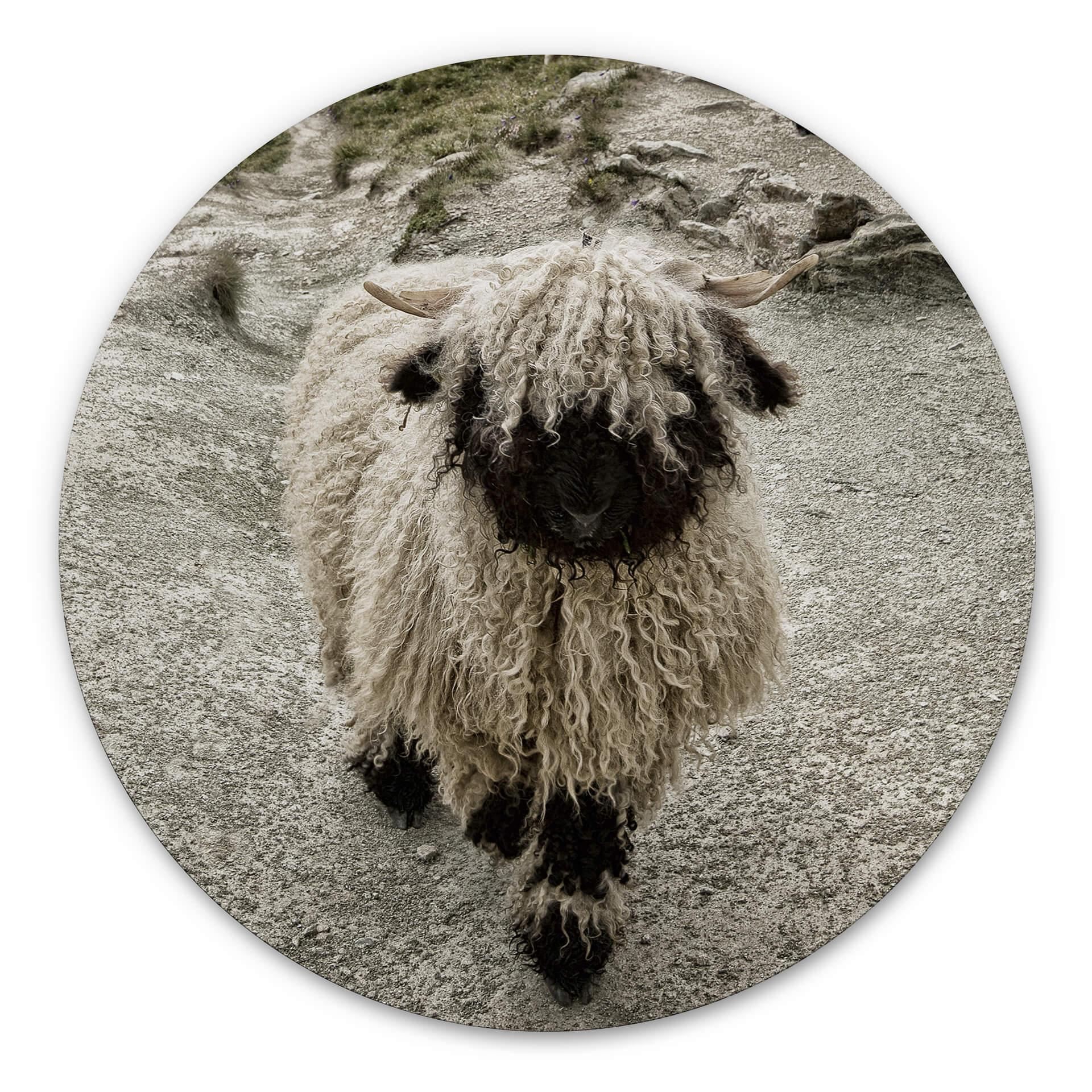 Tableau sur alu Dibond Landolt - Excursion en montagne - Rond