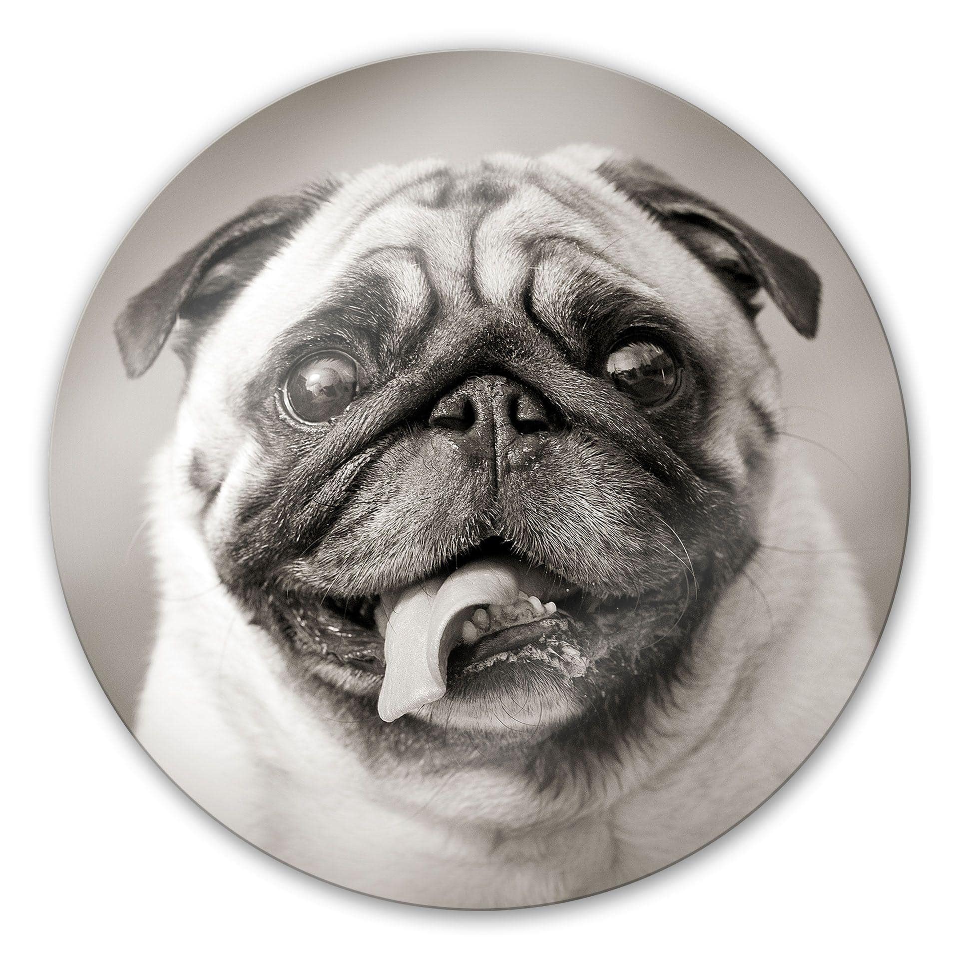 Tableau en verre - Adorable chien - rond