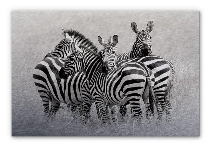 Aluminium Dibond Trubitsyn - Zebra's in de Savanne