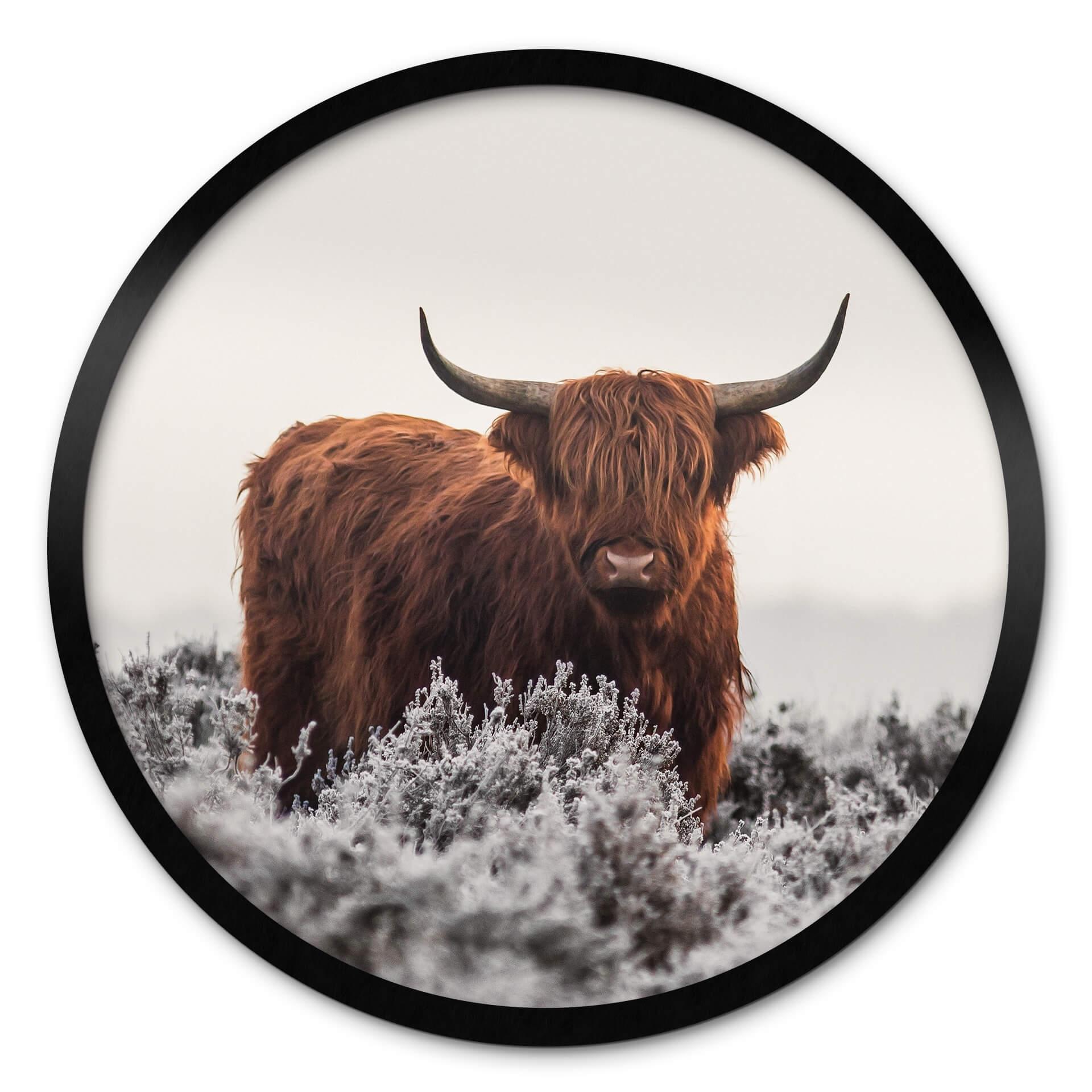 Plakat van den Helm - Highlander