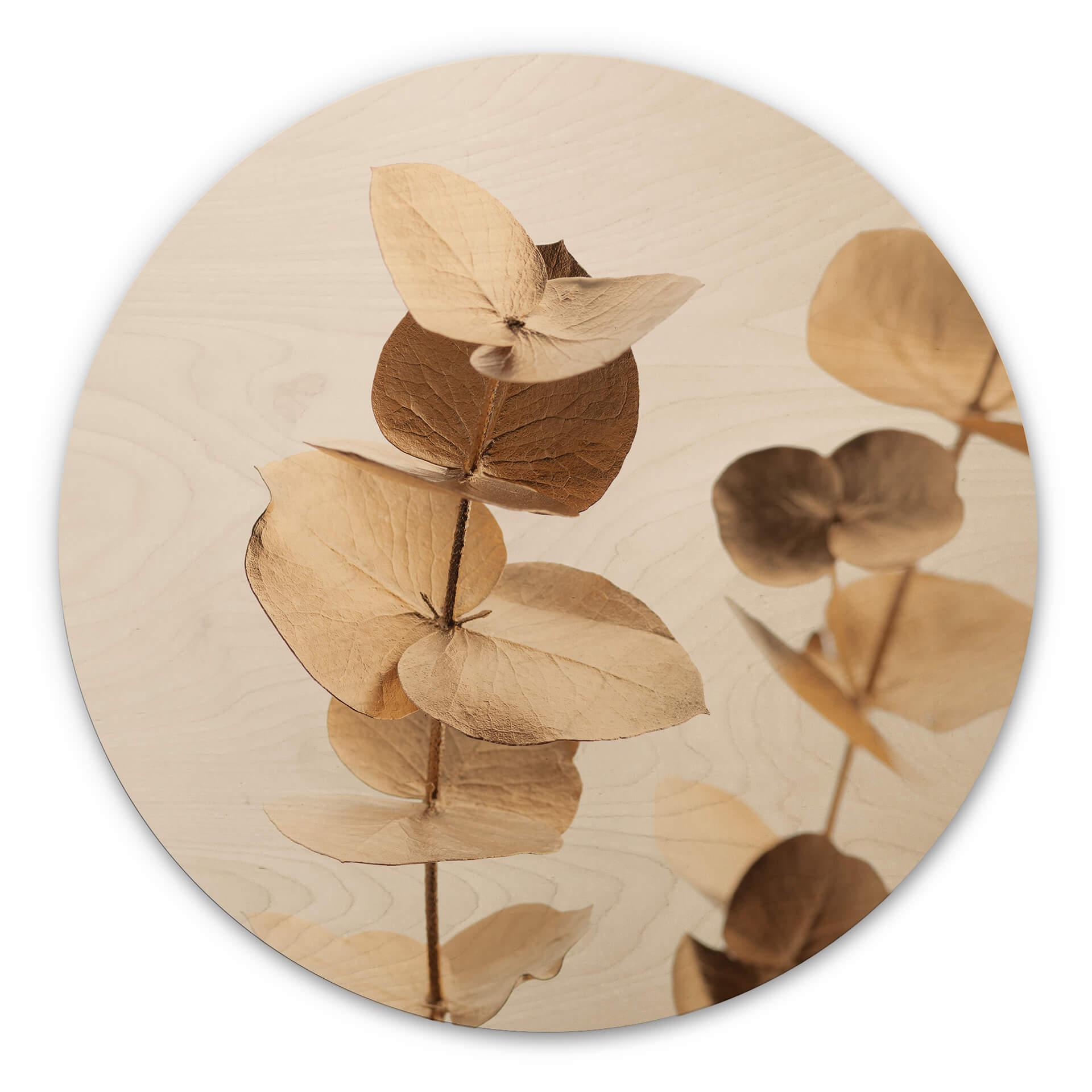 Cuadro de madera 1X Estudio - Eucalipto dorado - Redondo
