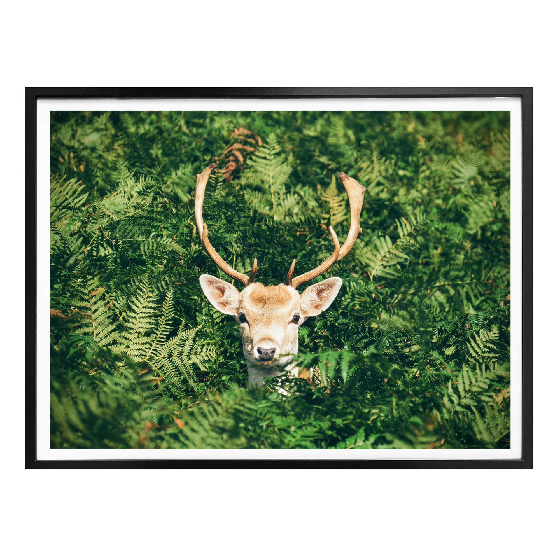 Póster Escondite en el bosque