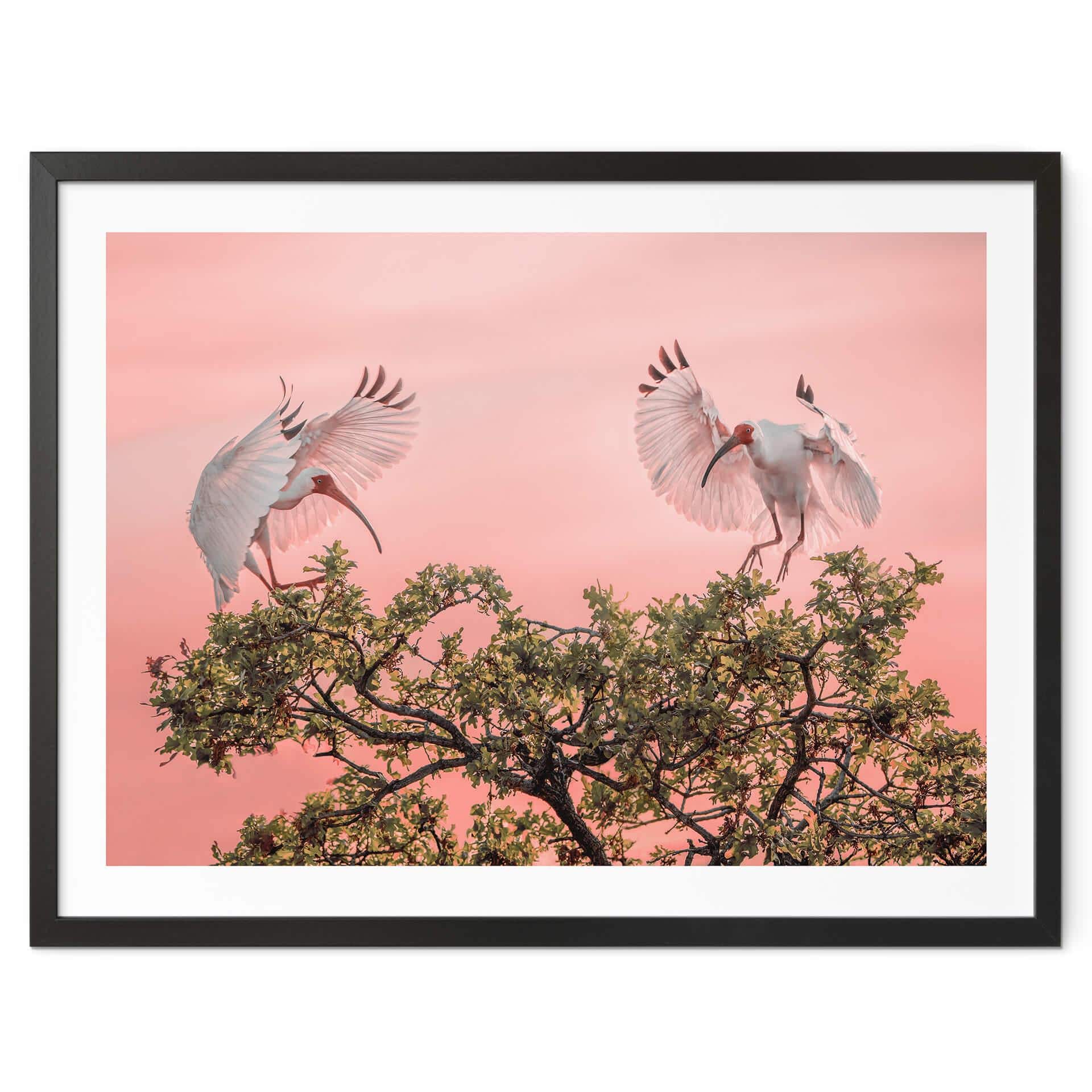 Póster Zhao - Pareja de pájaros al atardecer