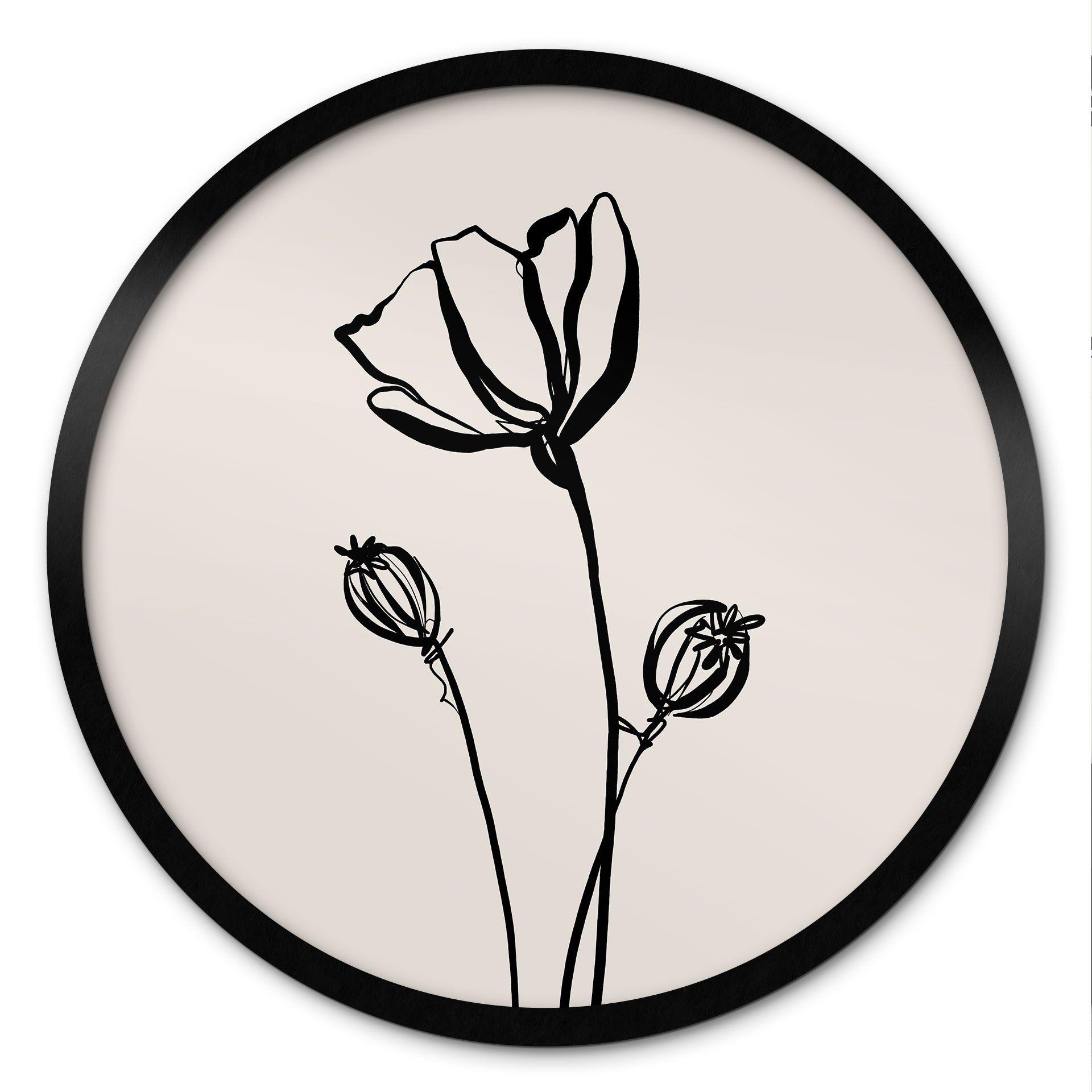 Plakat Line Art Poppy - Cats & Dotz - Rund