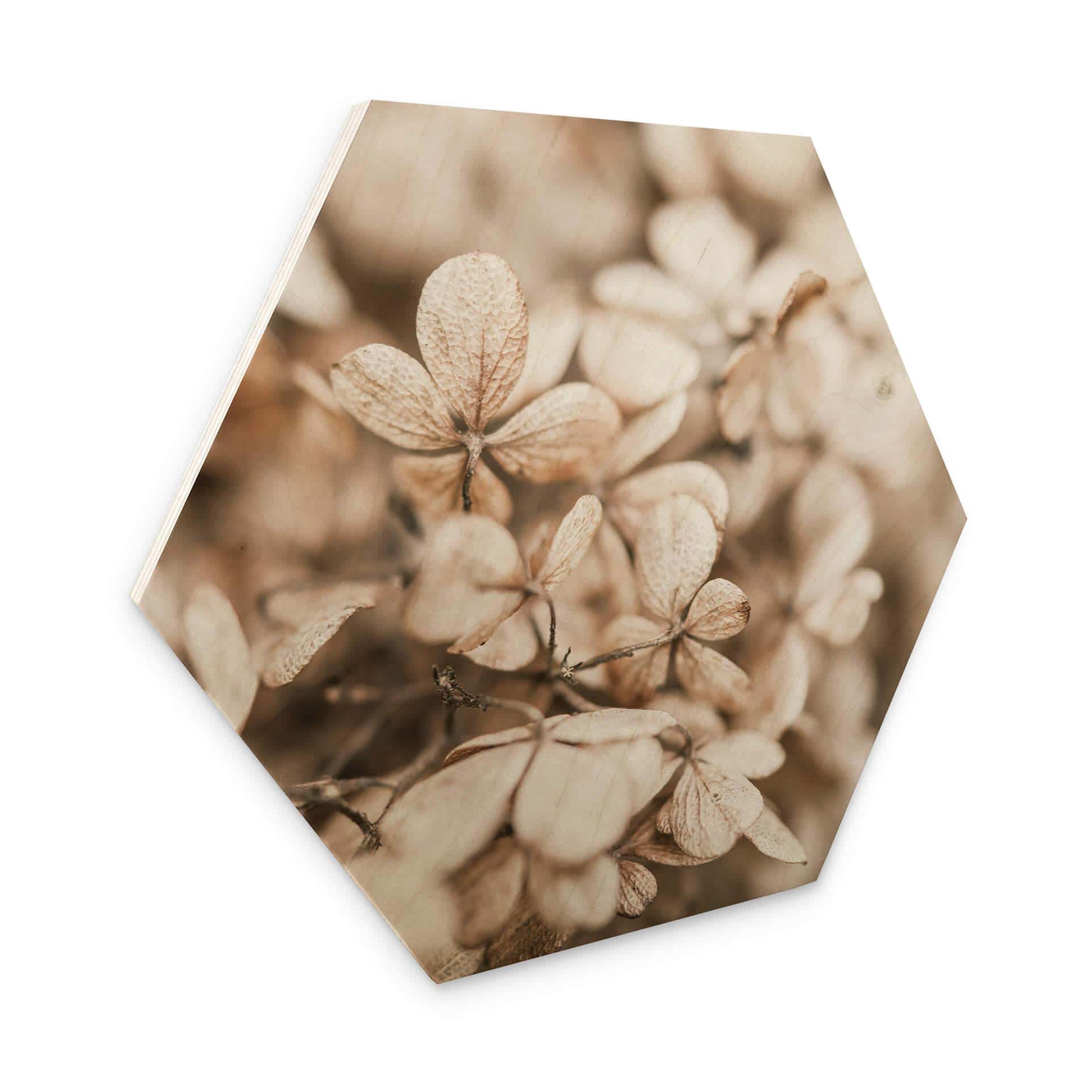 Hexagone - Bois Annie - Fleurs en velours