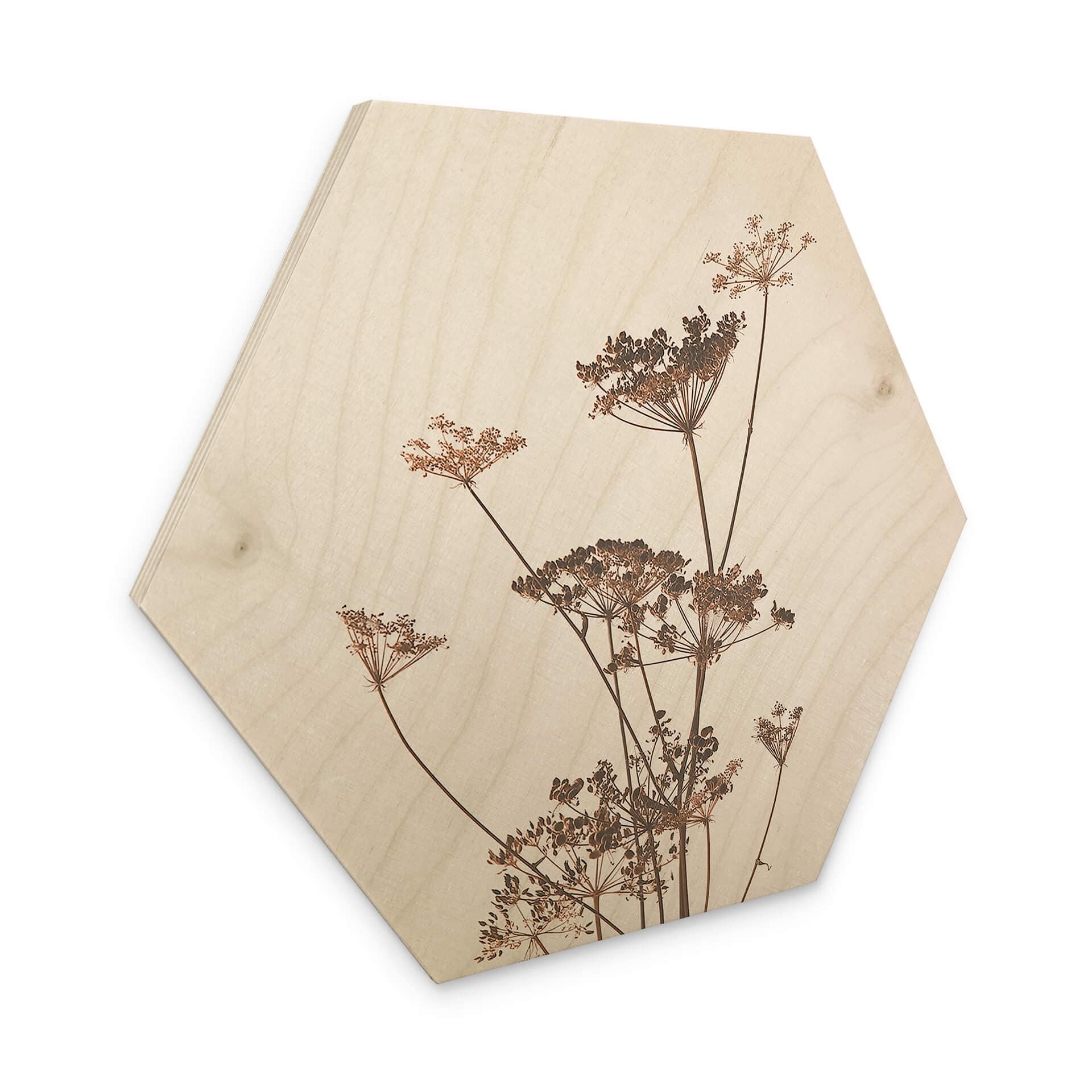Hexagone - Bois Herbes sauvages