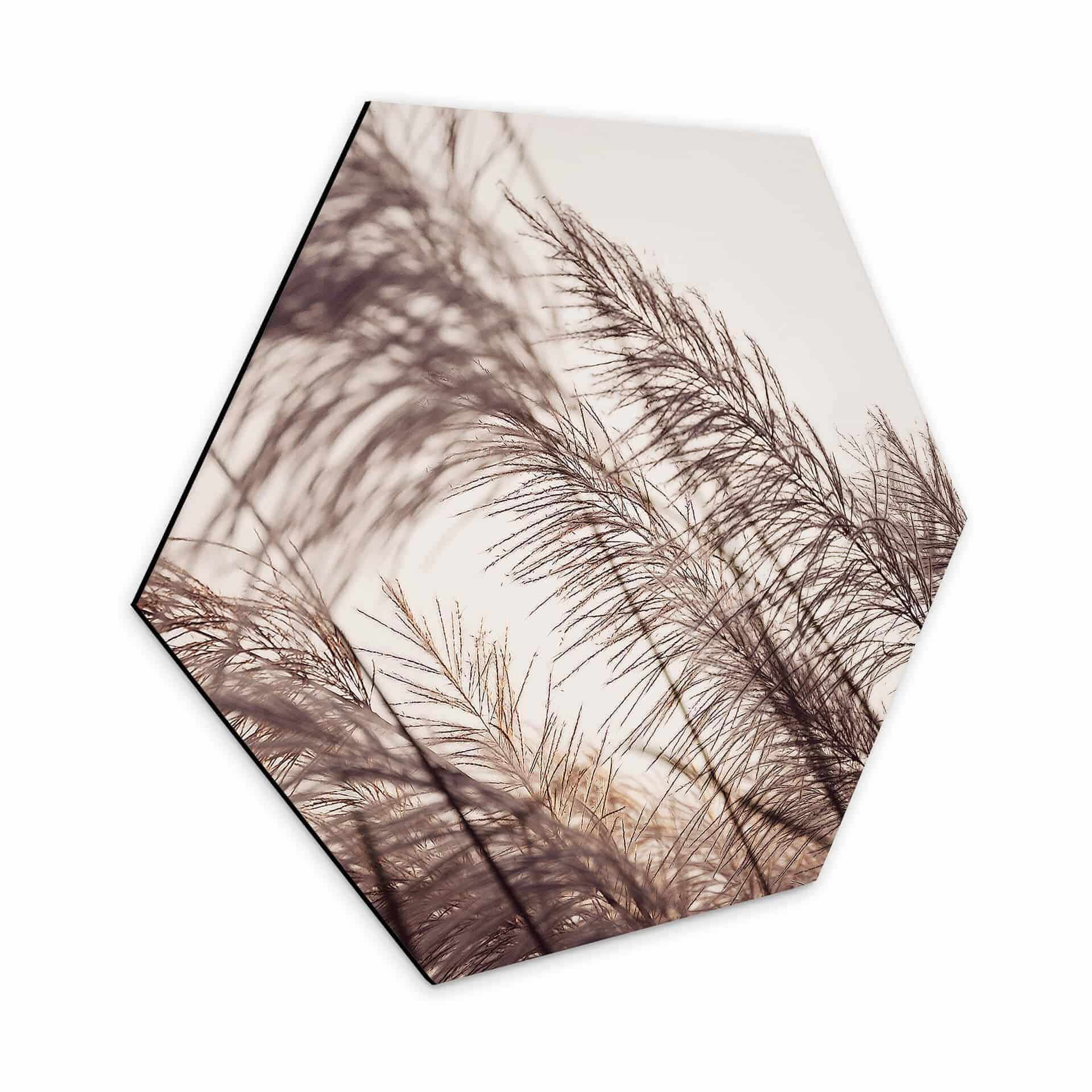 Hexagone - alu-Dibond Herbes en pastel