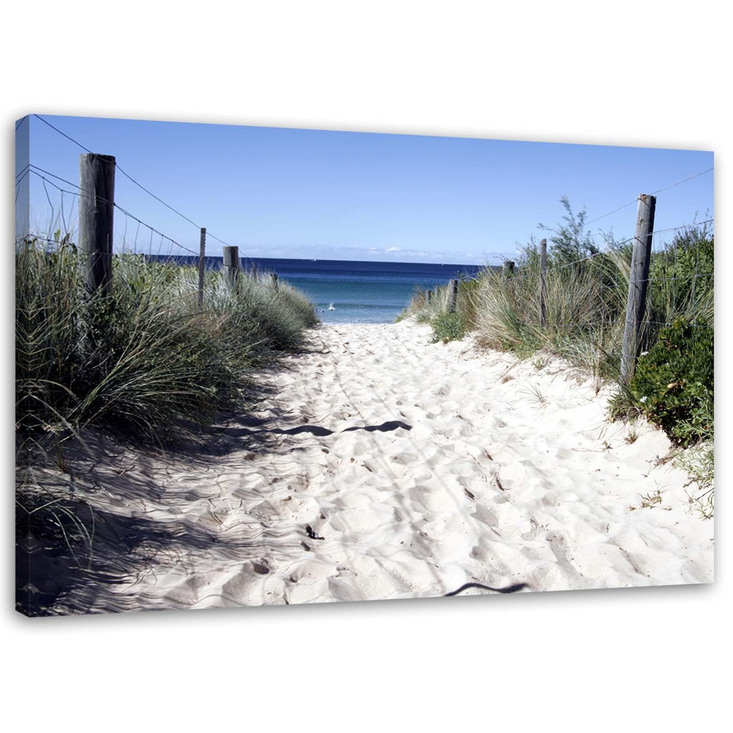 Canvasbillede, Strandklitter i landskab