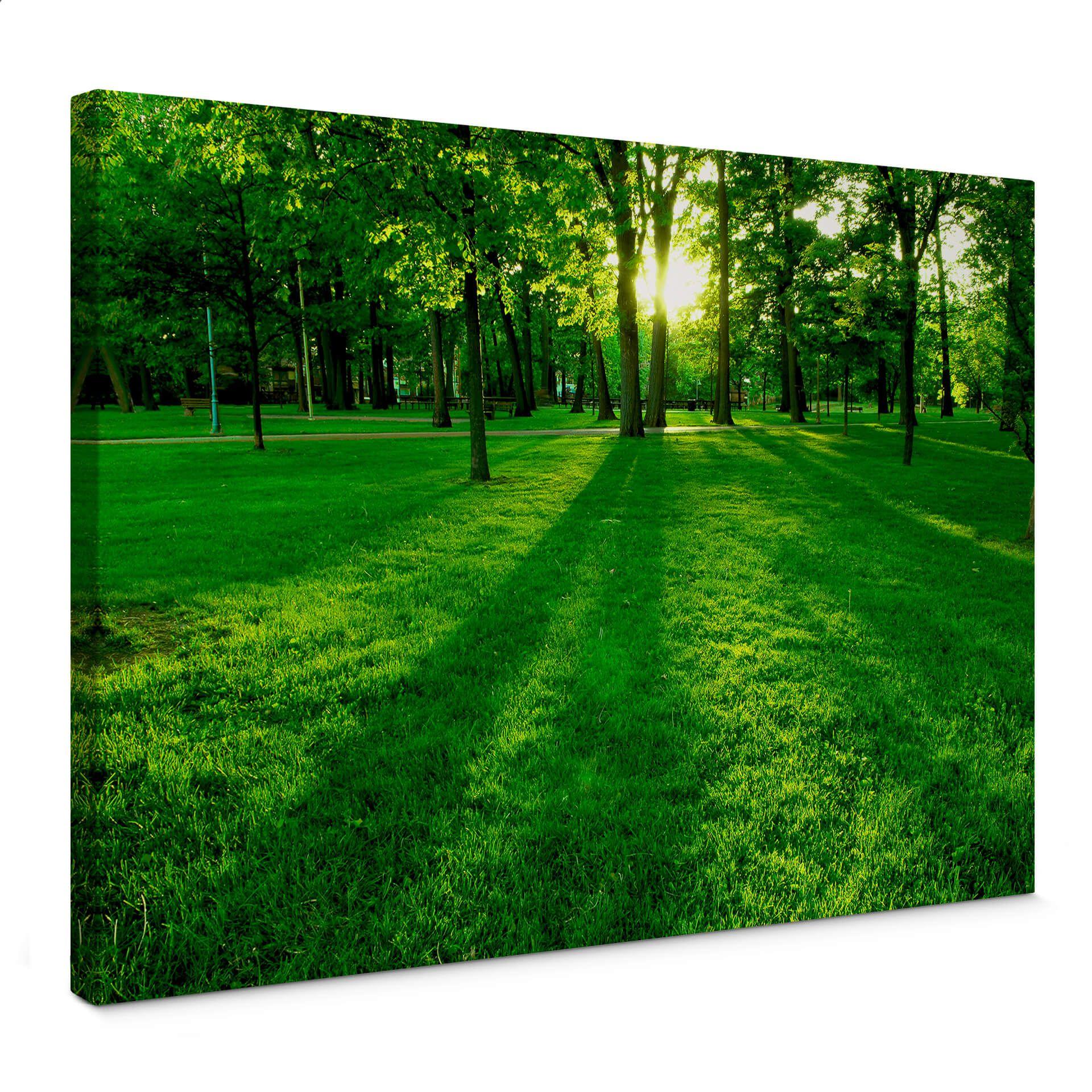 Lienzo Parque en el campo