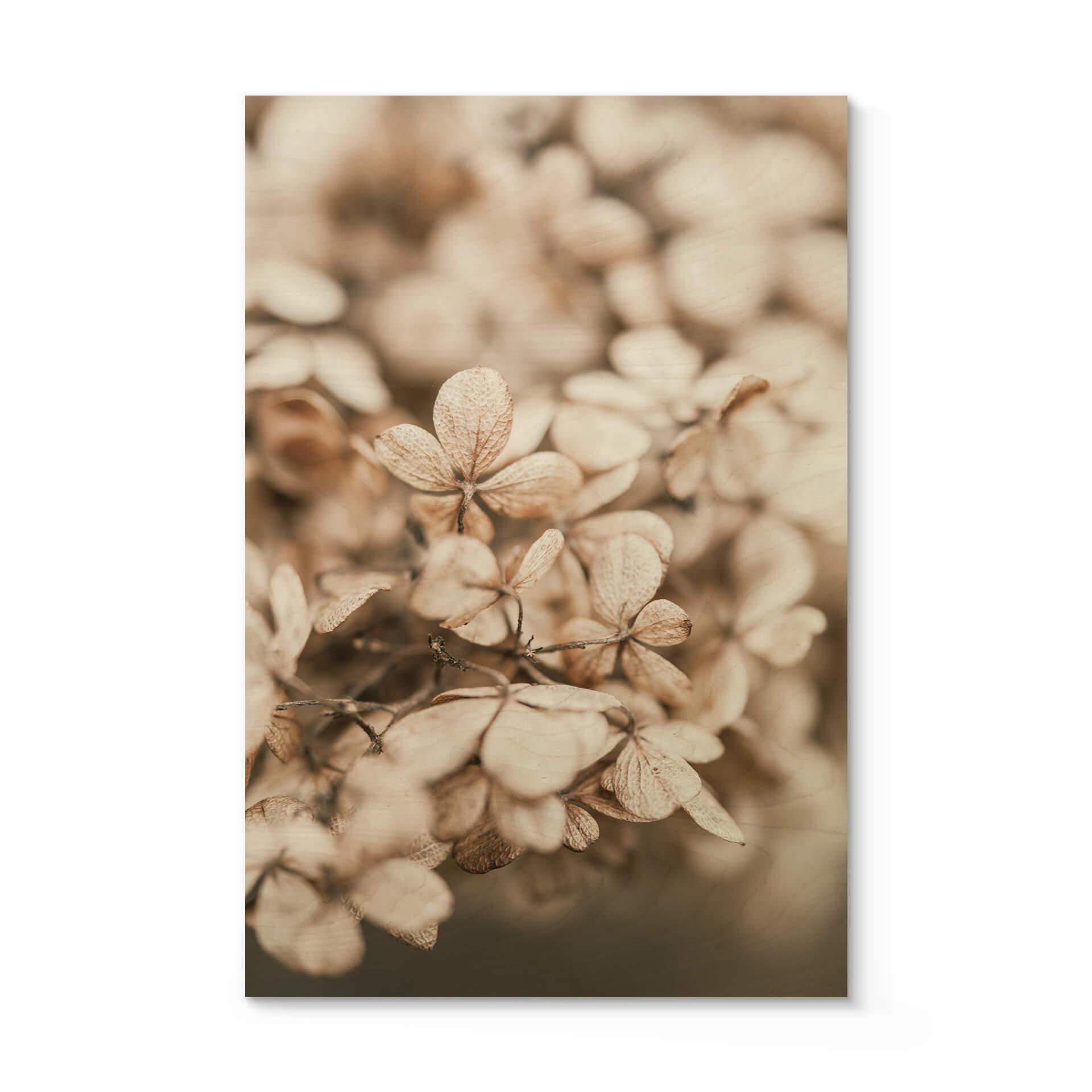Annie Billede af træ - fløjlsblomster