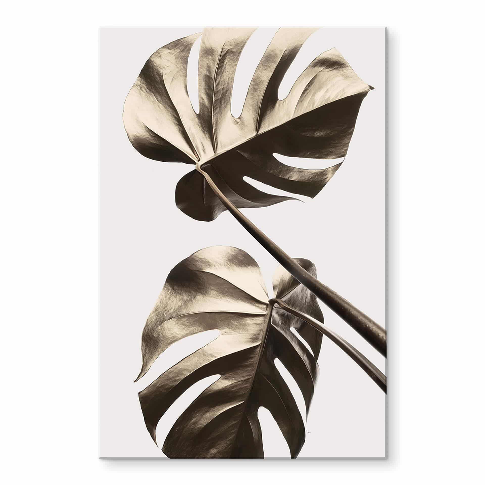 Akrylbillede 1X Studio - Golden Monstera