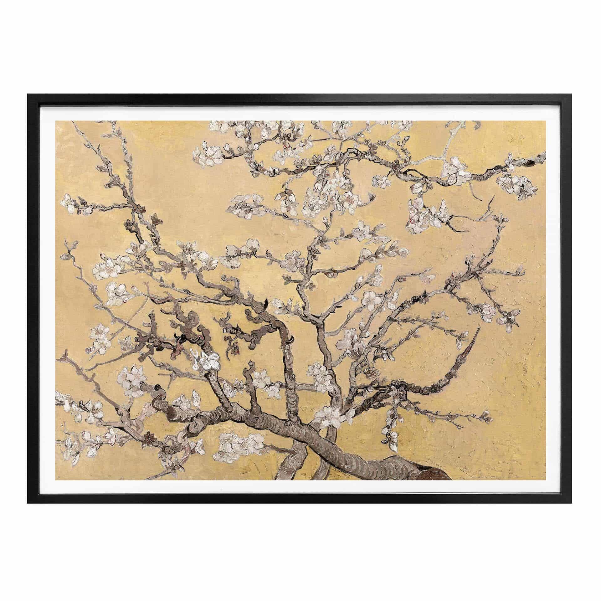 Póster van Gogh - Crema de flor de almendro