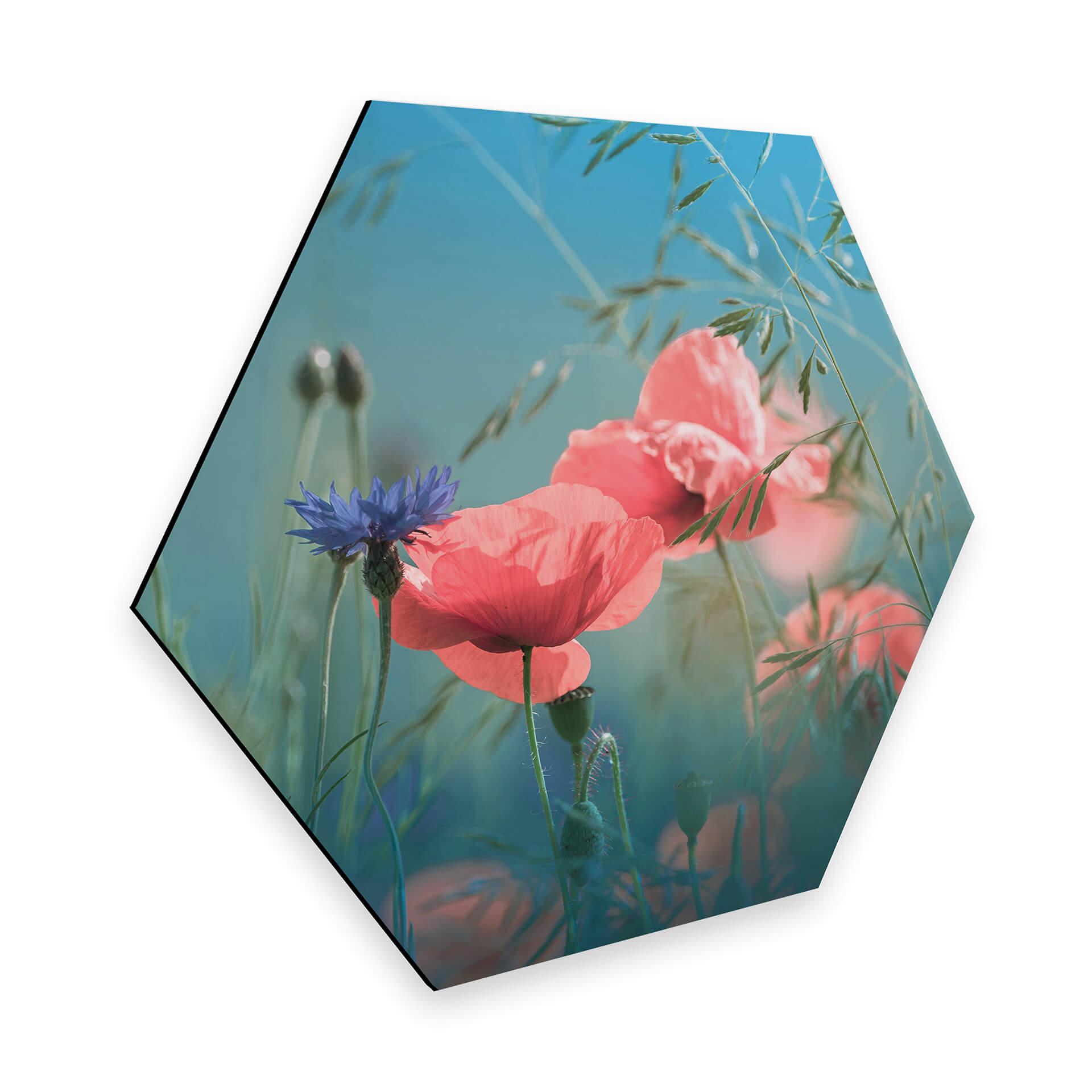 Hexagon - Alu-Dibond - Delgado - Wildflower Aquamarine