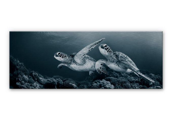 Aluminium Dibond Narchuk - Twee Schildpadden op Reis