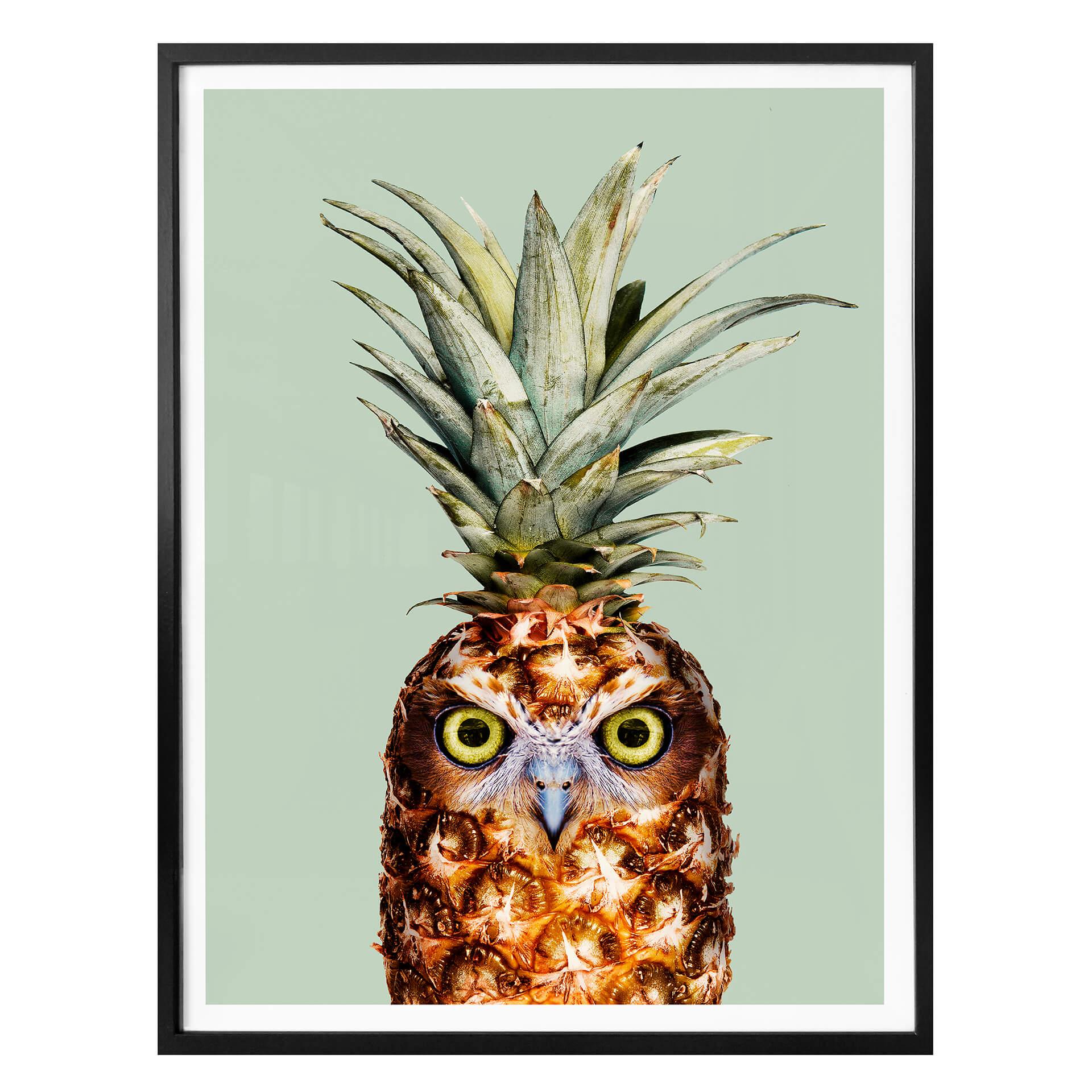 Plakat - Loose - Ananasugle