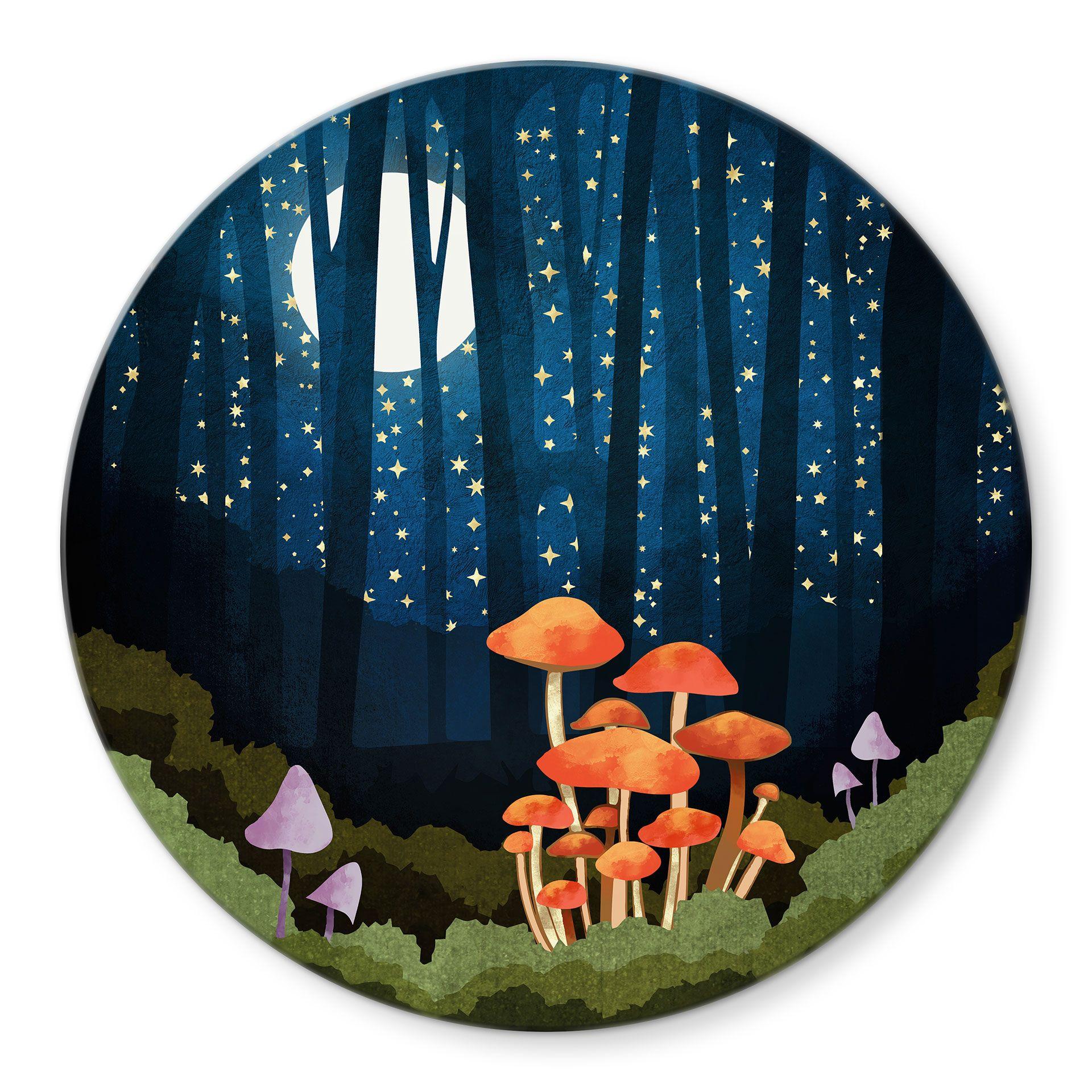Glasbillede - Skov og stjerner om natten - SpaceFrog Designs
