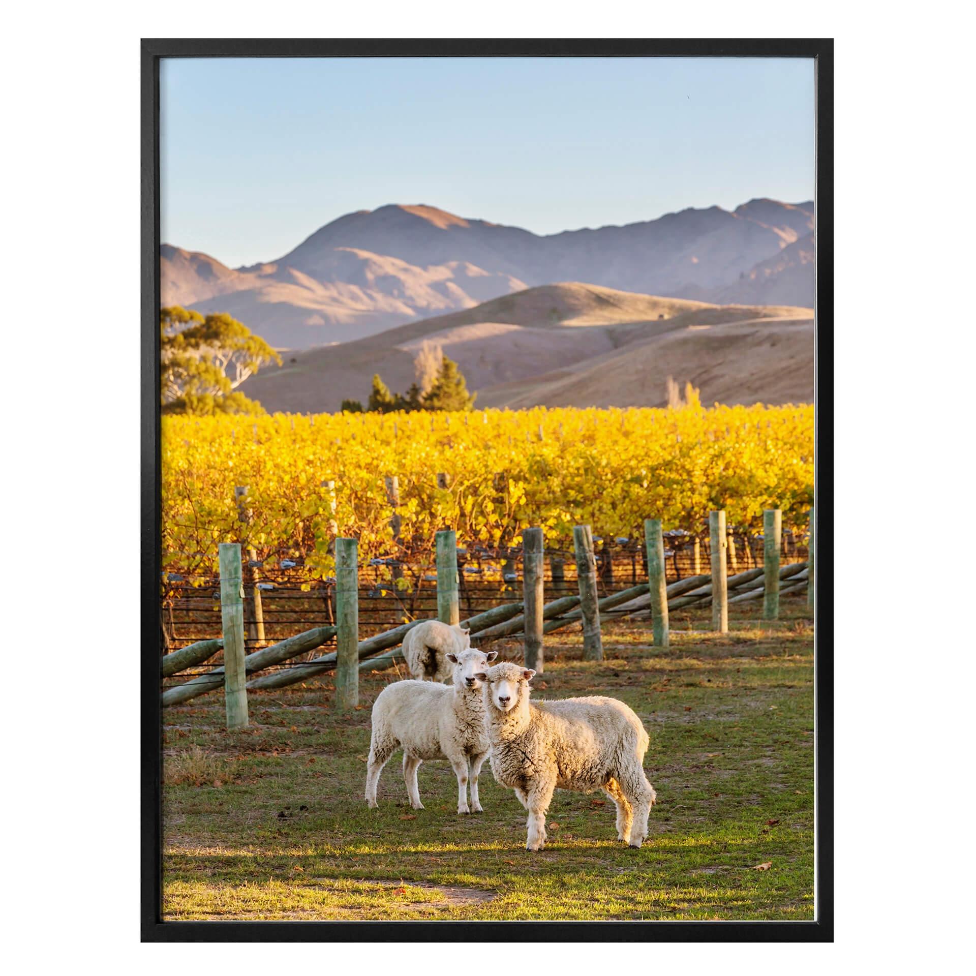 Póster Colombo - Puesta de sol en la montaña