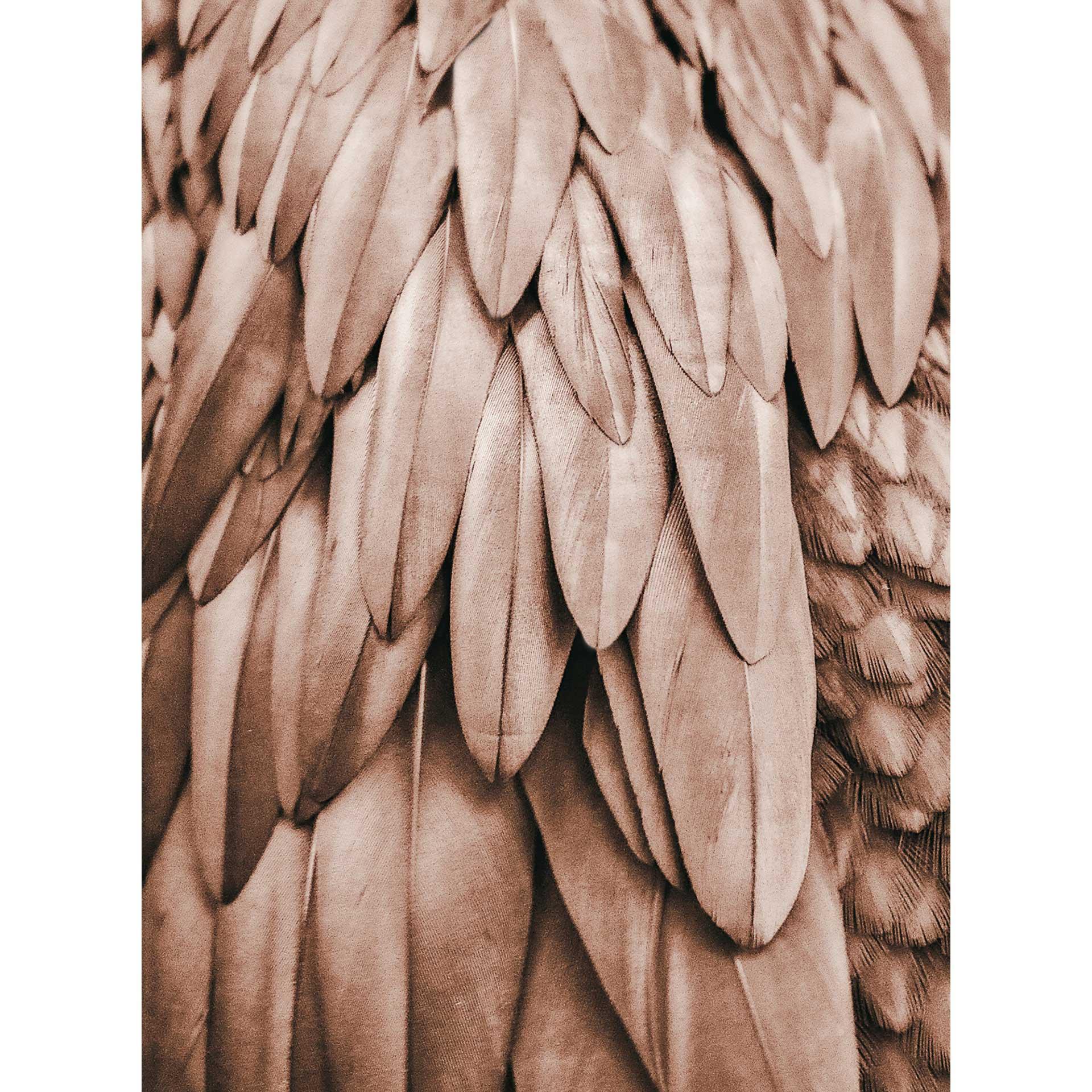 Livingwalls papier peint photo ARTist Feathers cuivre