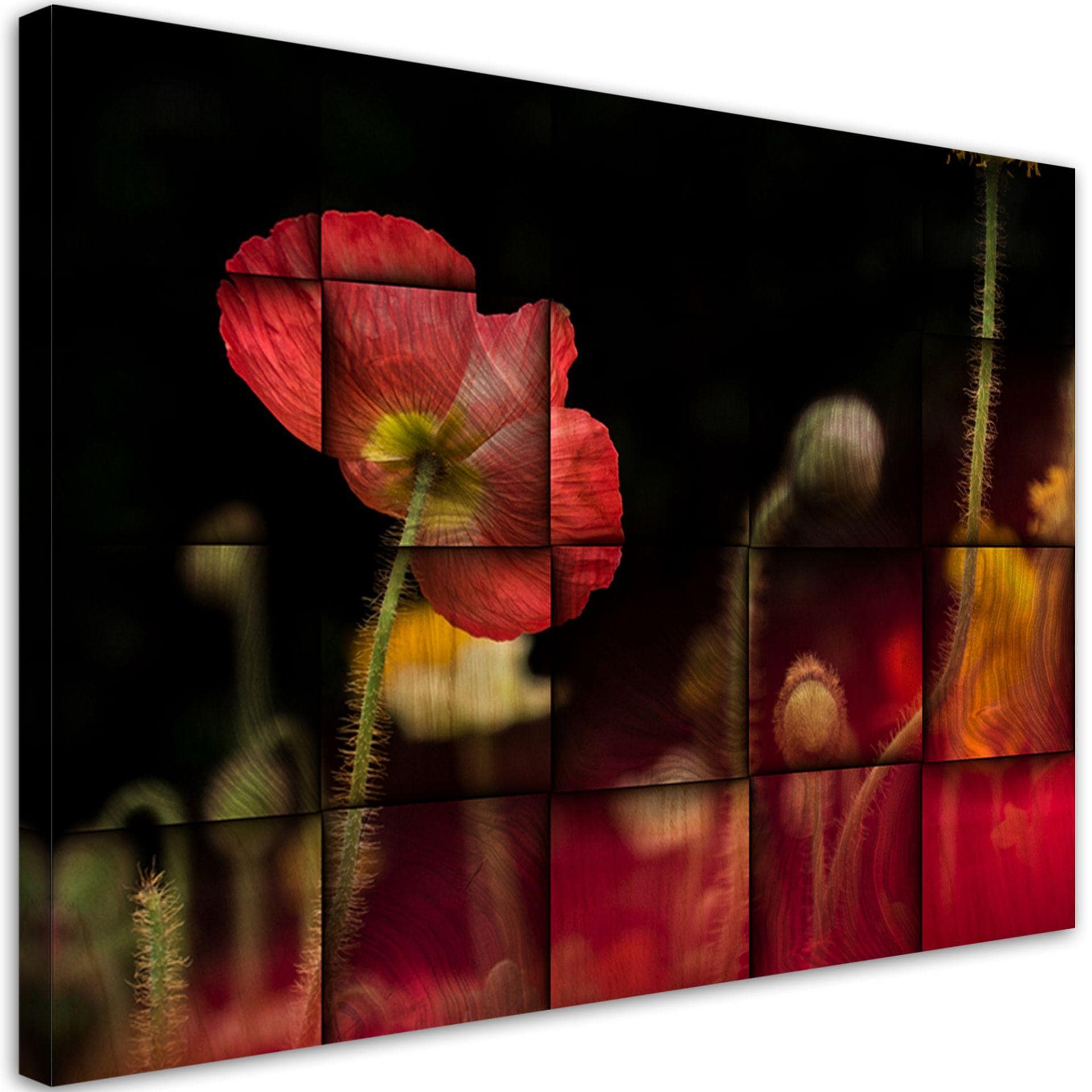 Canvasbillede, Rød valmue