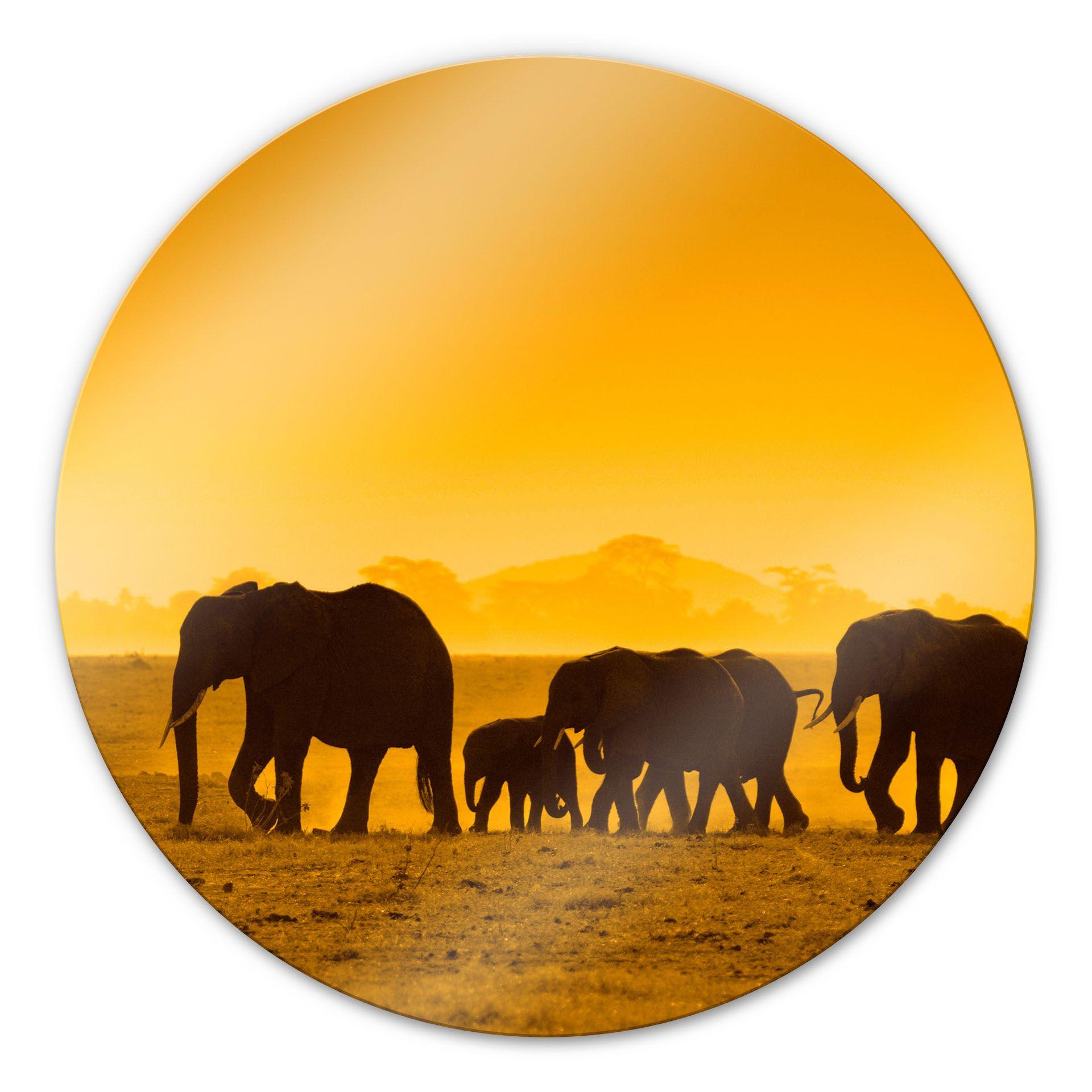 Glasbillede - Elefant Familie