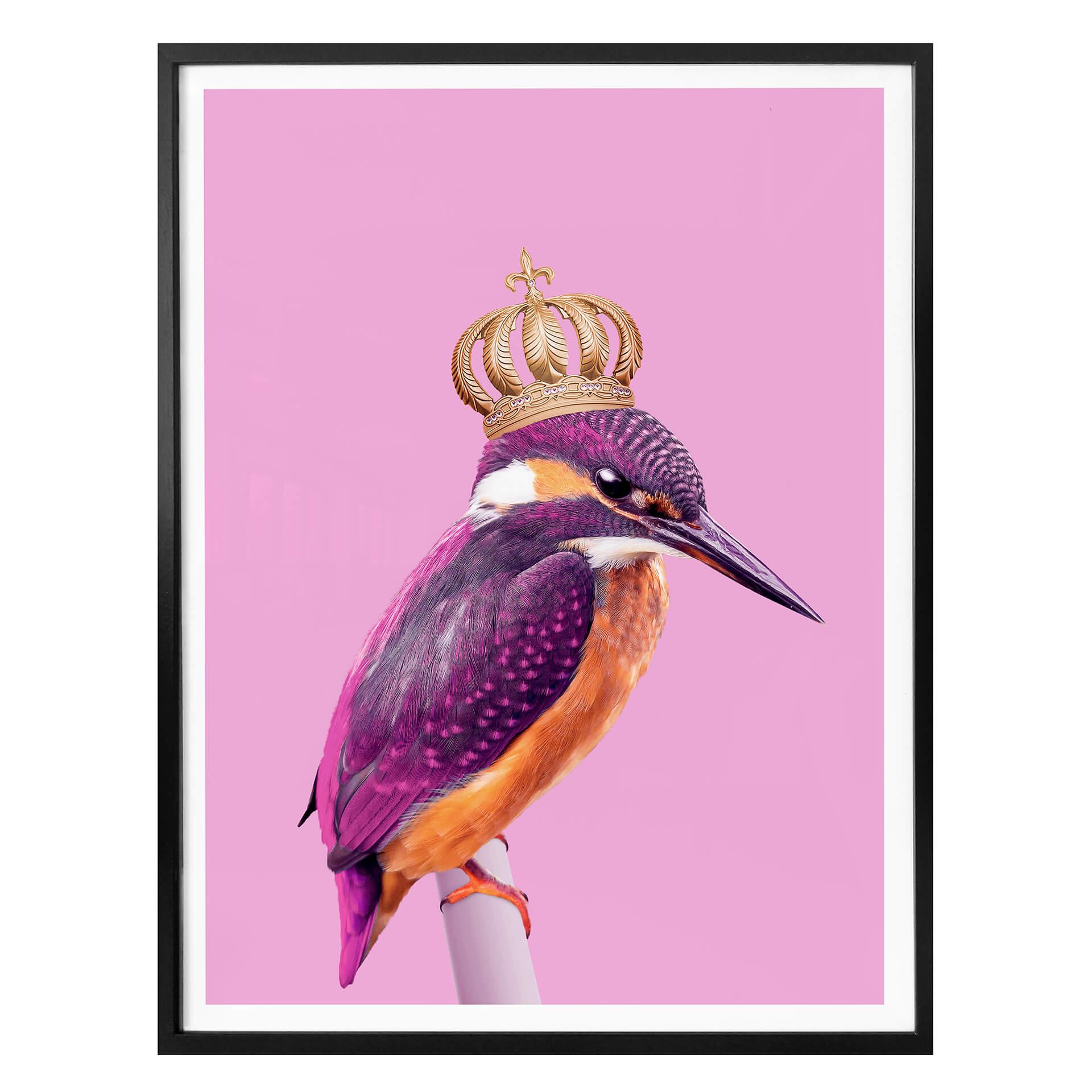 Póster Suelto - Queenfisher