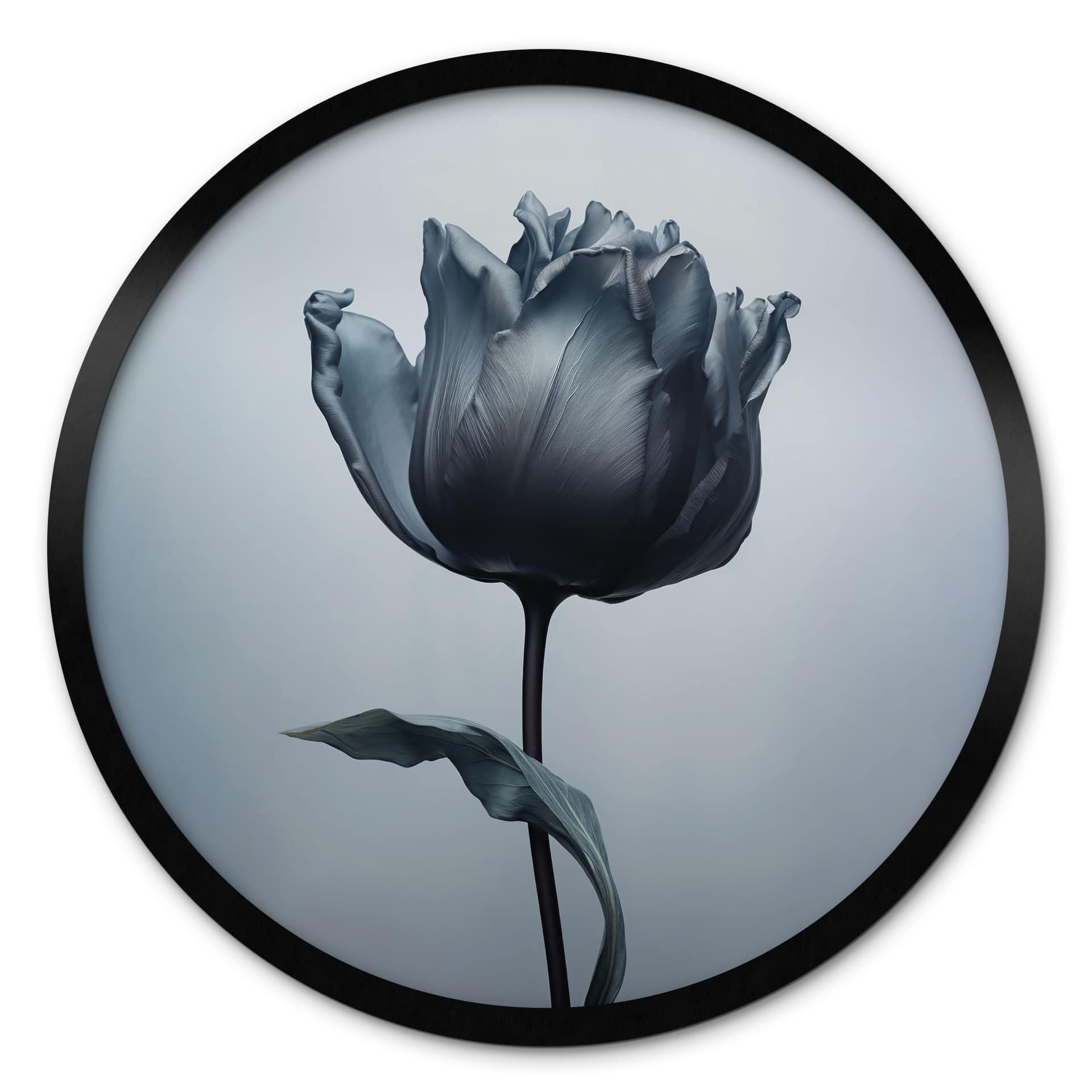 Póster tulipán aterciopelado en negro - Paksoylu - Redondo