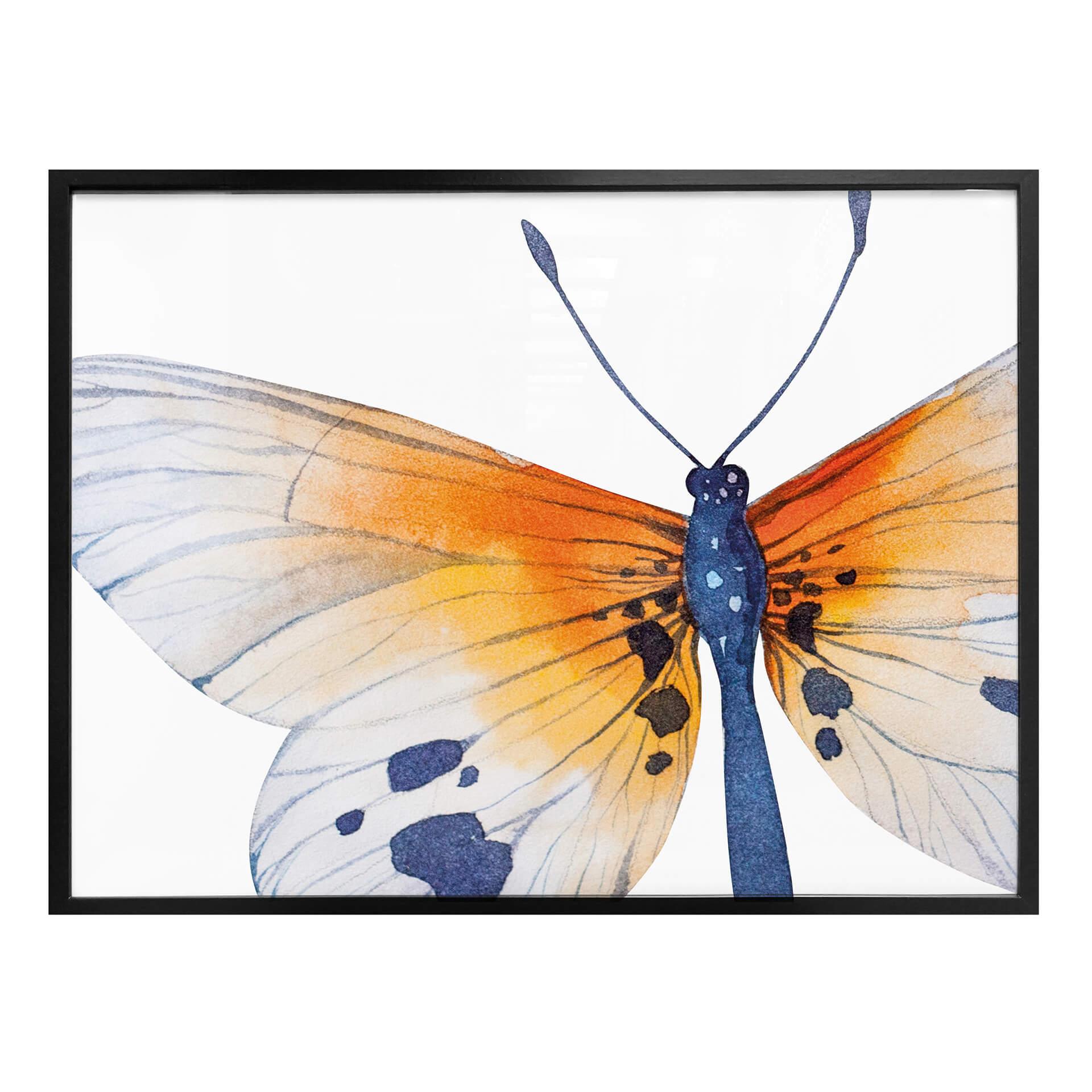 Póster Kvilis - Mariposa 02