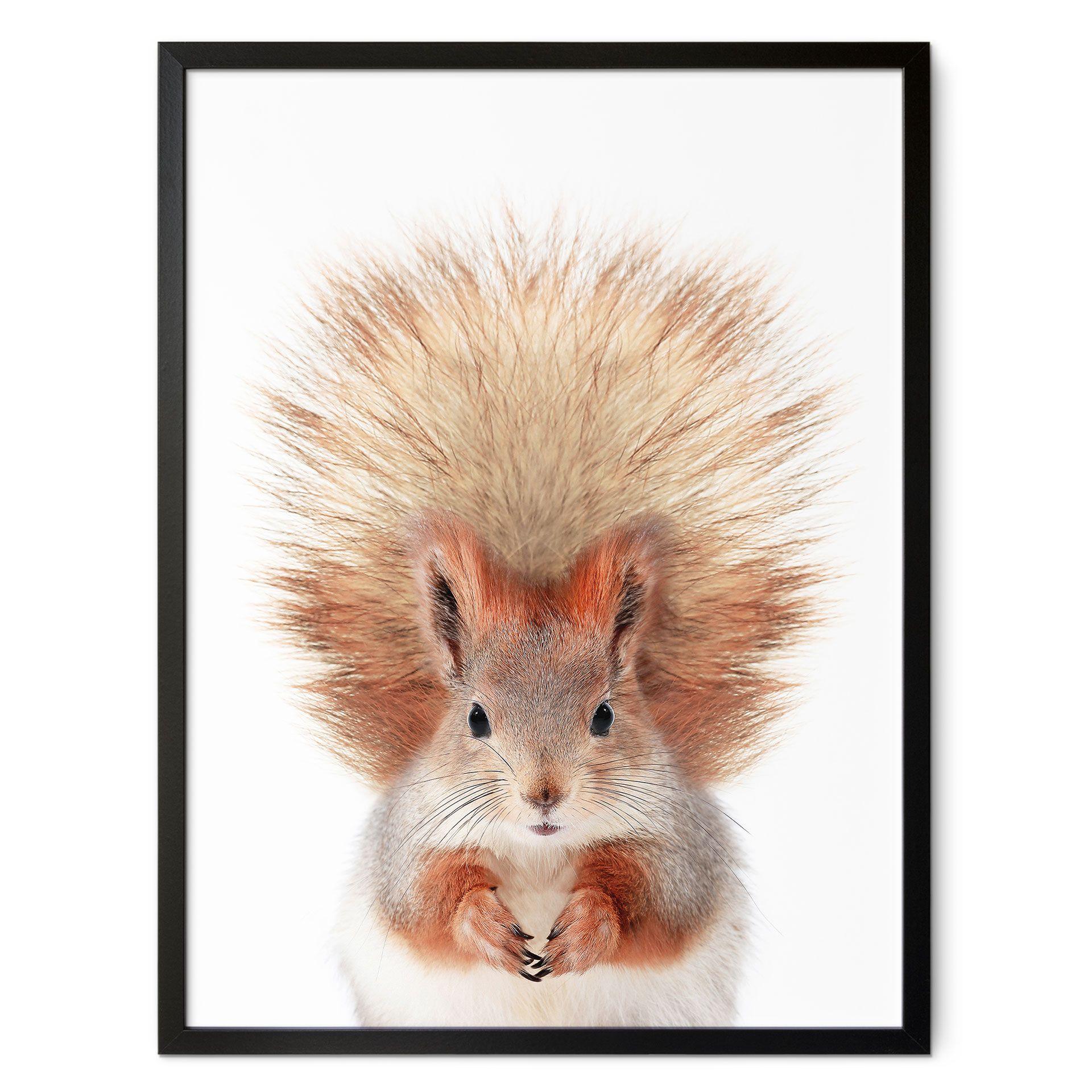 Póster Ardillita - Sisi & Seb