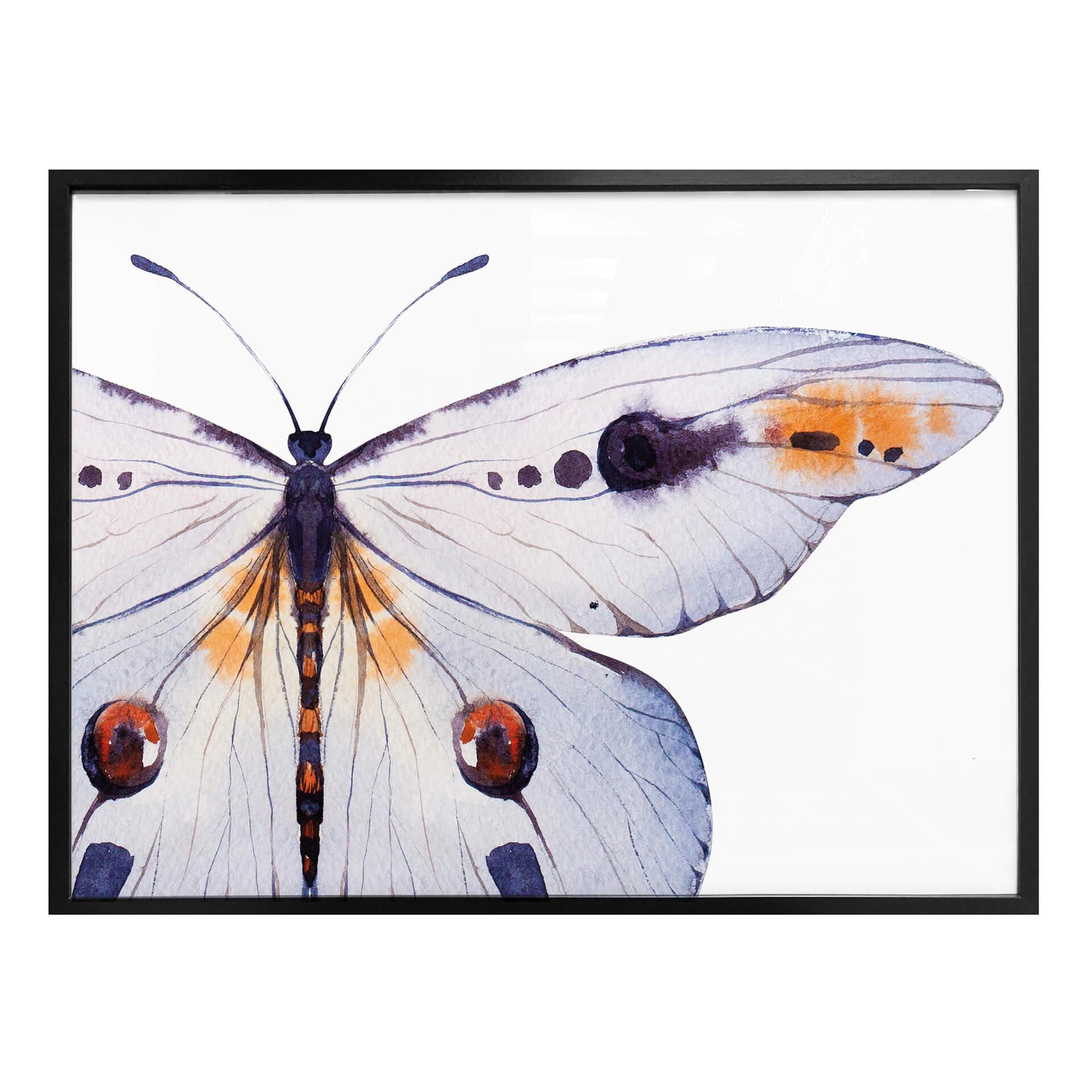 Póster Kvilis - Mariposa 01