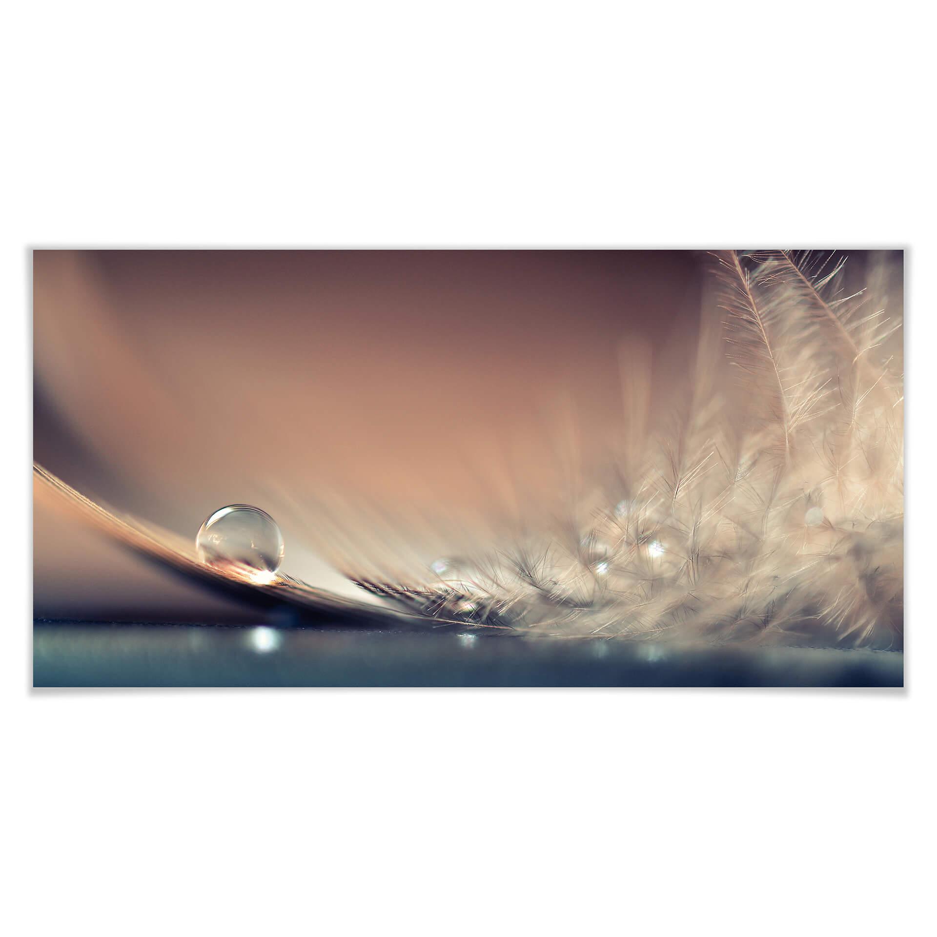 Poster - Dmitry - Story of a Waterdrop