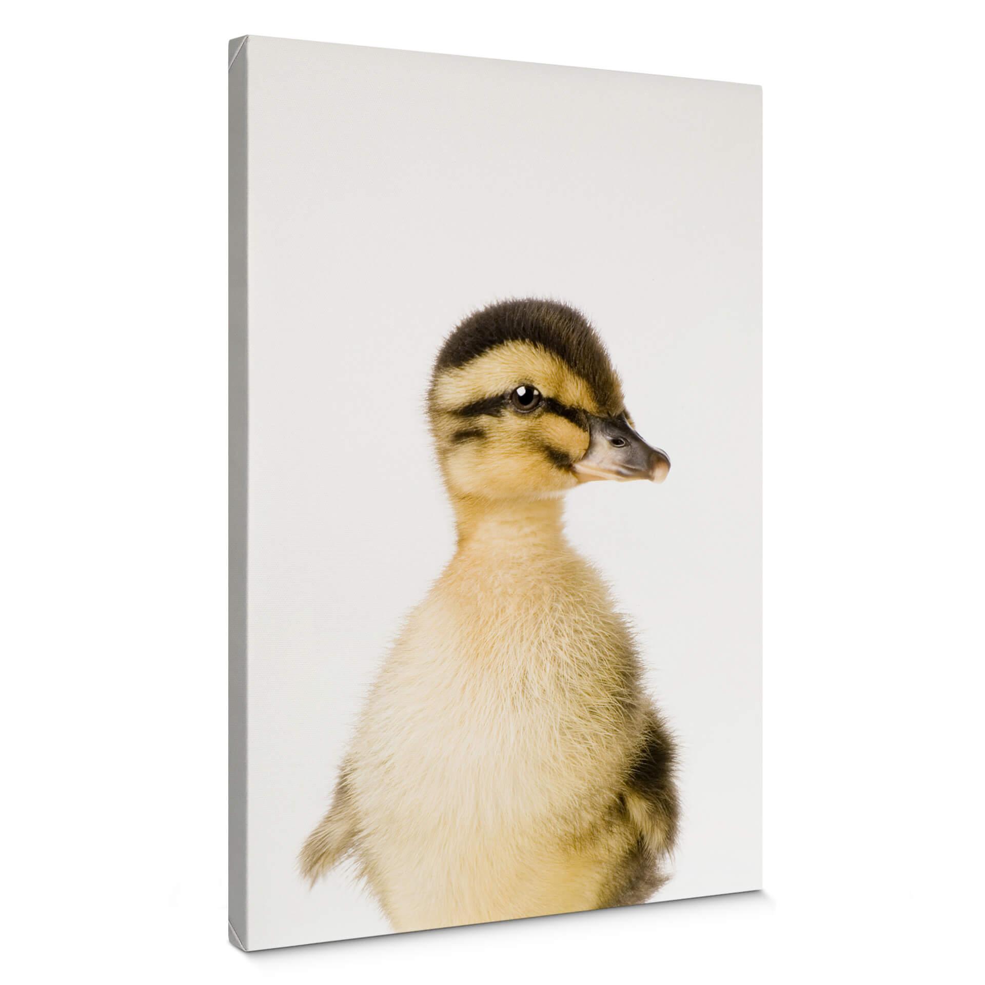 Lienzo Sisi y Seb - Patitos