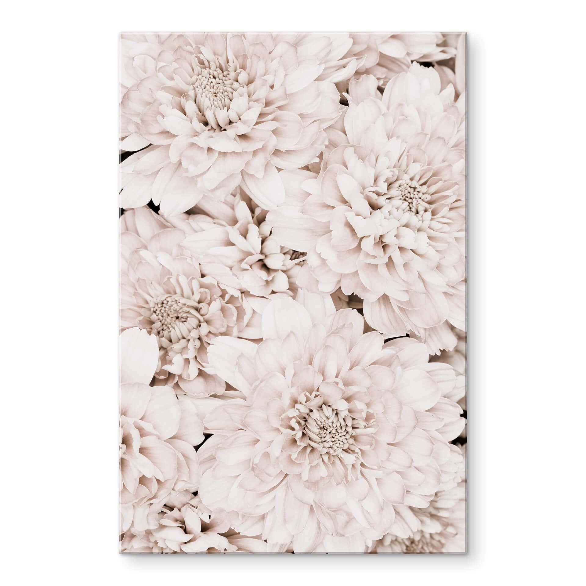 Akrylbillede 1X Studio - Aster Apricot